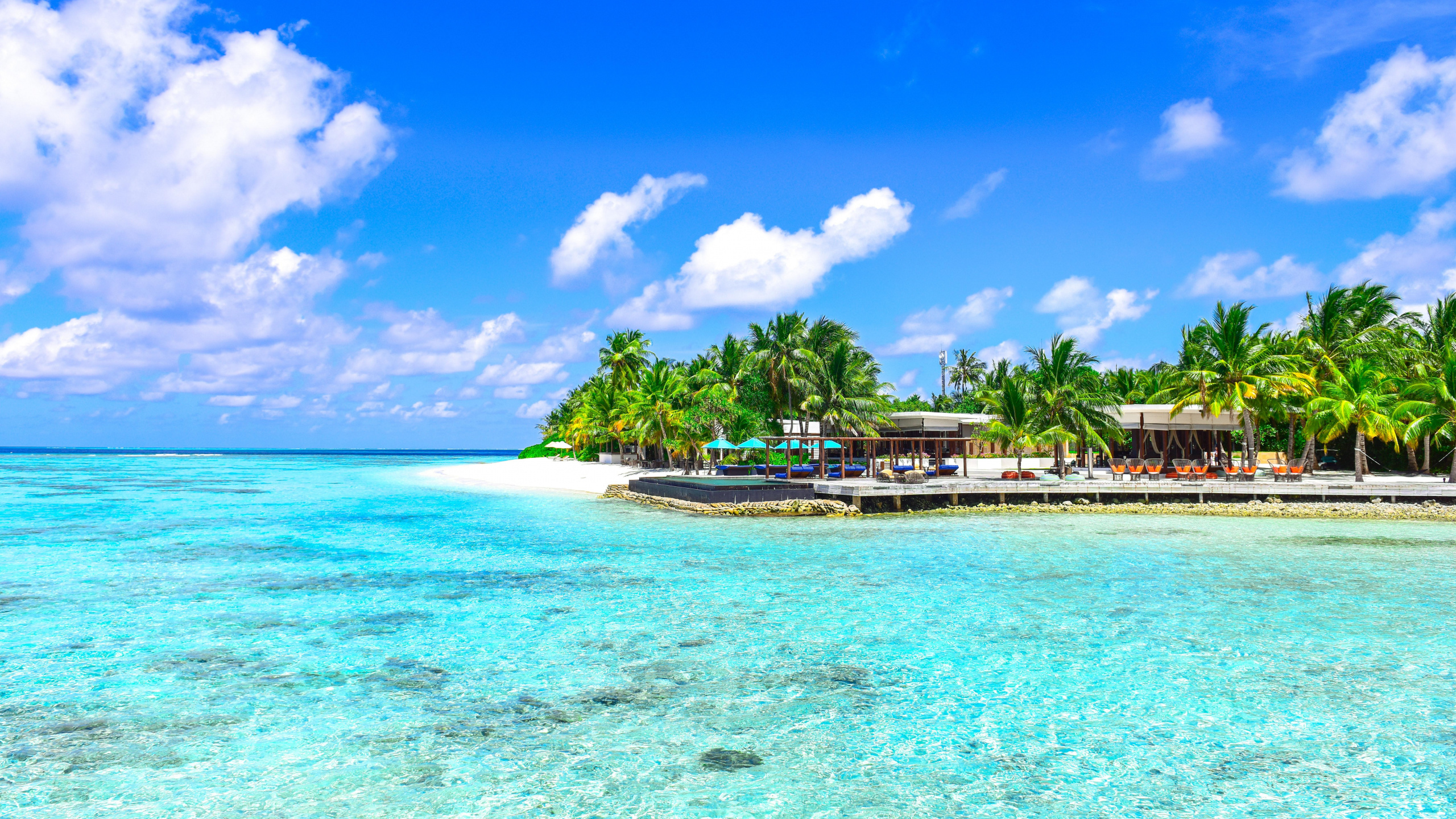 Обои прибежище, тропическая зона, море, Карибский бассейн, прибрежные и океанические рельефы в разрешении 2560x1440