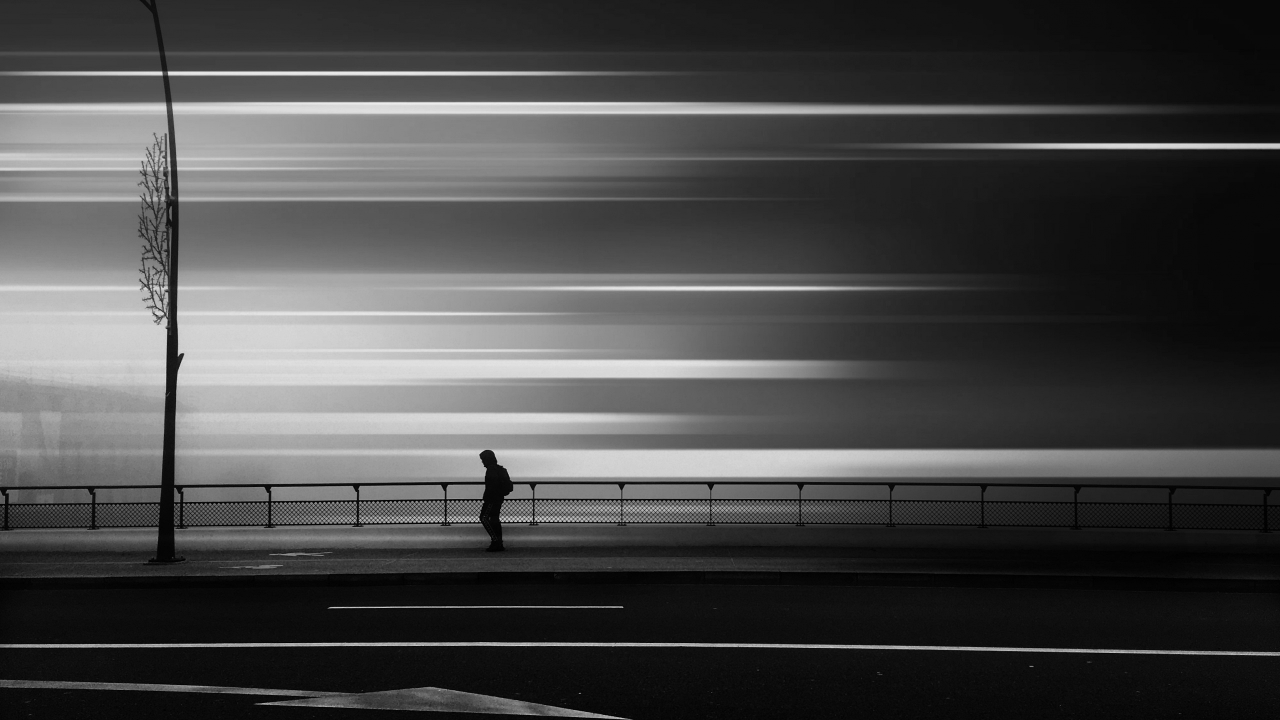 Обои черный и белый, черный, белые, монохромный, линия в разрешении 2560x1440