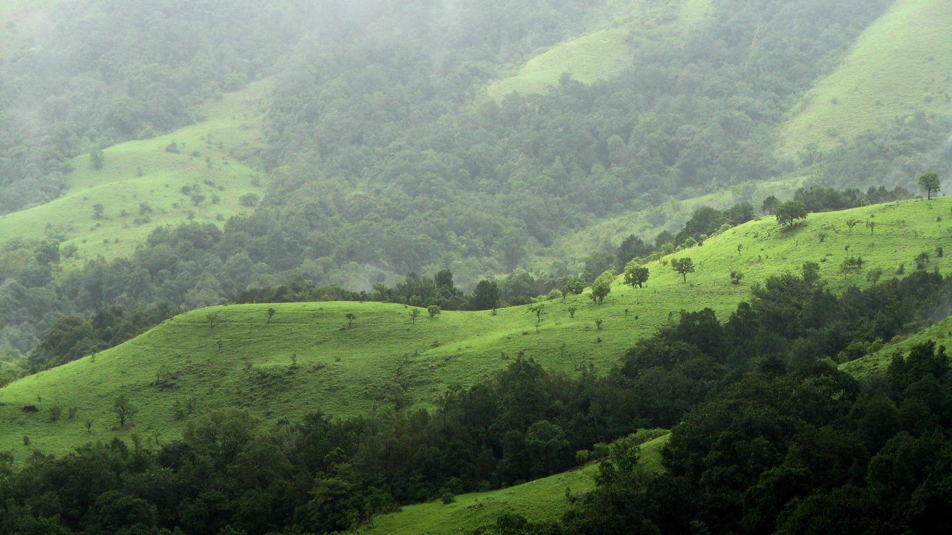Обои Шола, сенокосное угодье, экосистема, нагорье, горный рельеф в разрешении 1366x768