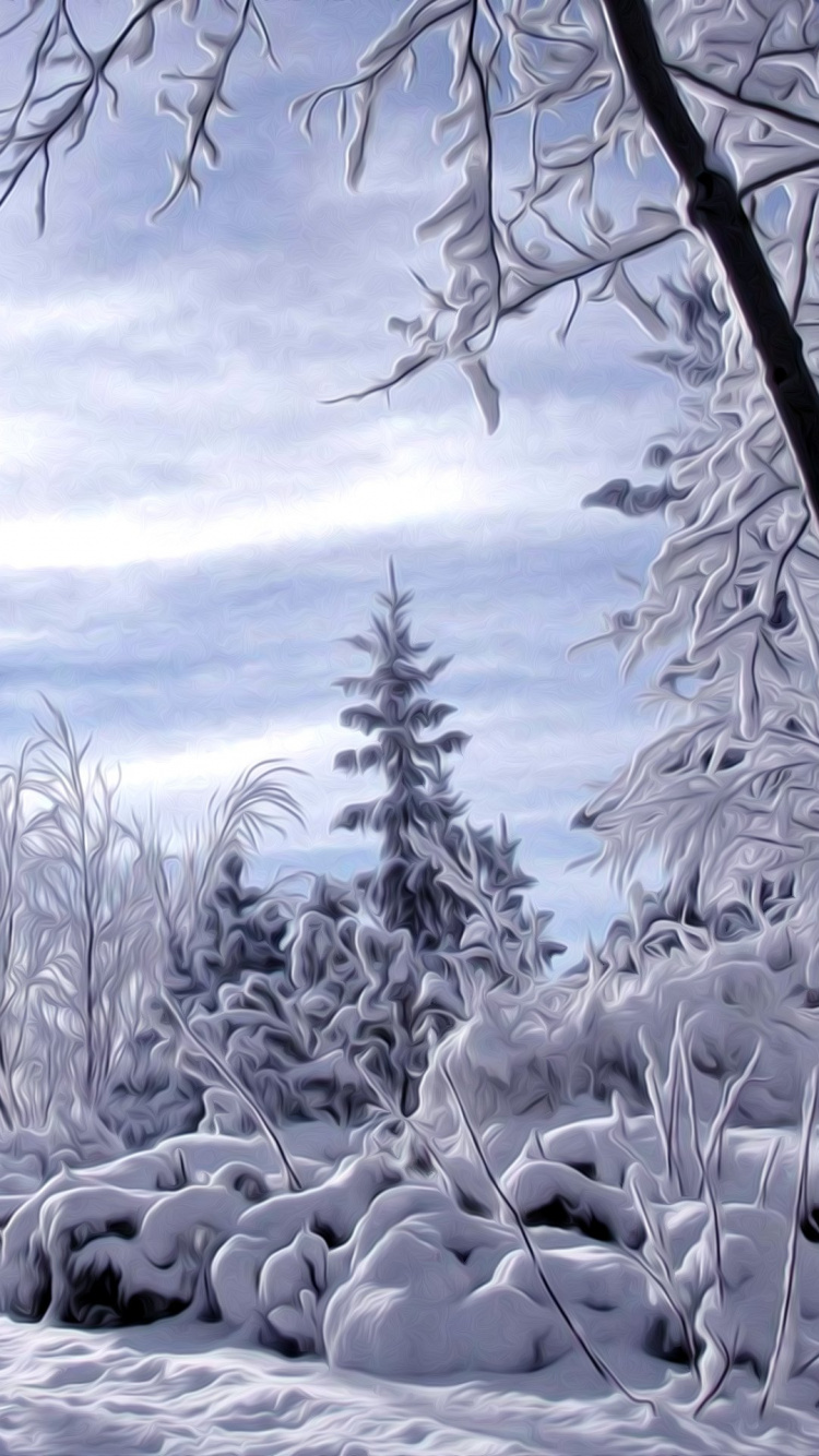 Обои зима, снег, дерево, замораживание, мороз в разрешении 750x1334