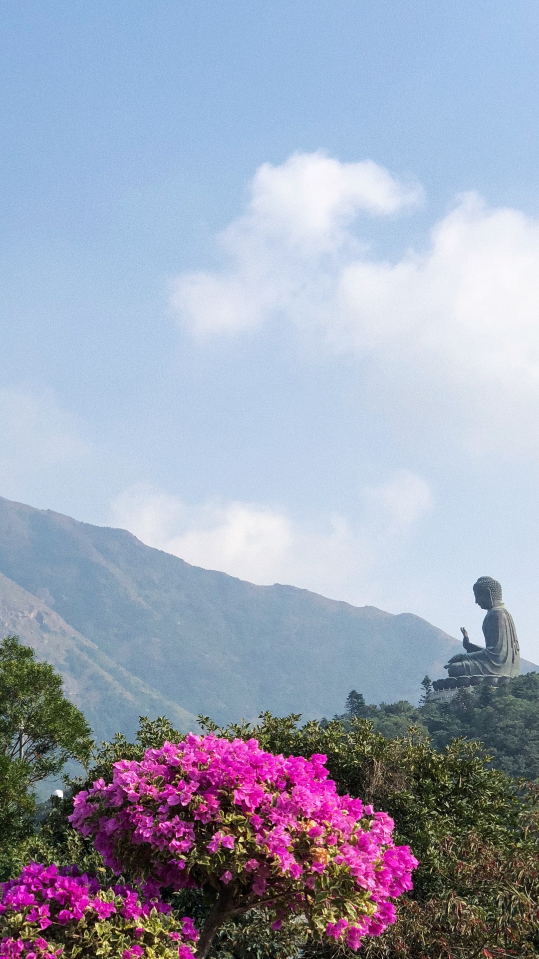 Обои растительность, горный рельеф, облако, цветок, растительное сообщество в разрешении 1080x1920