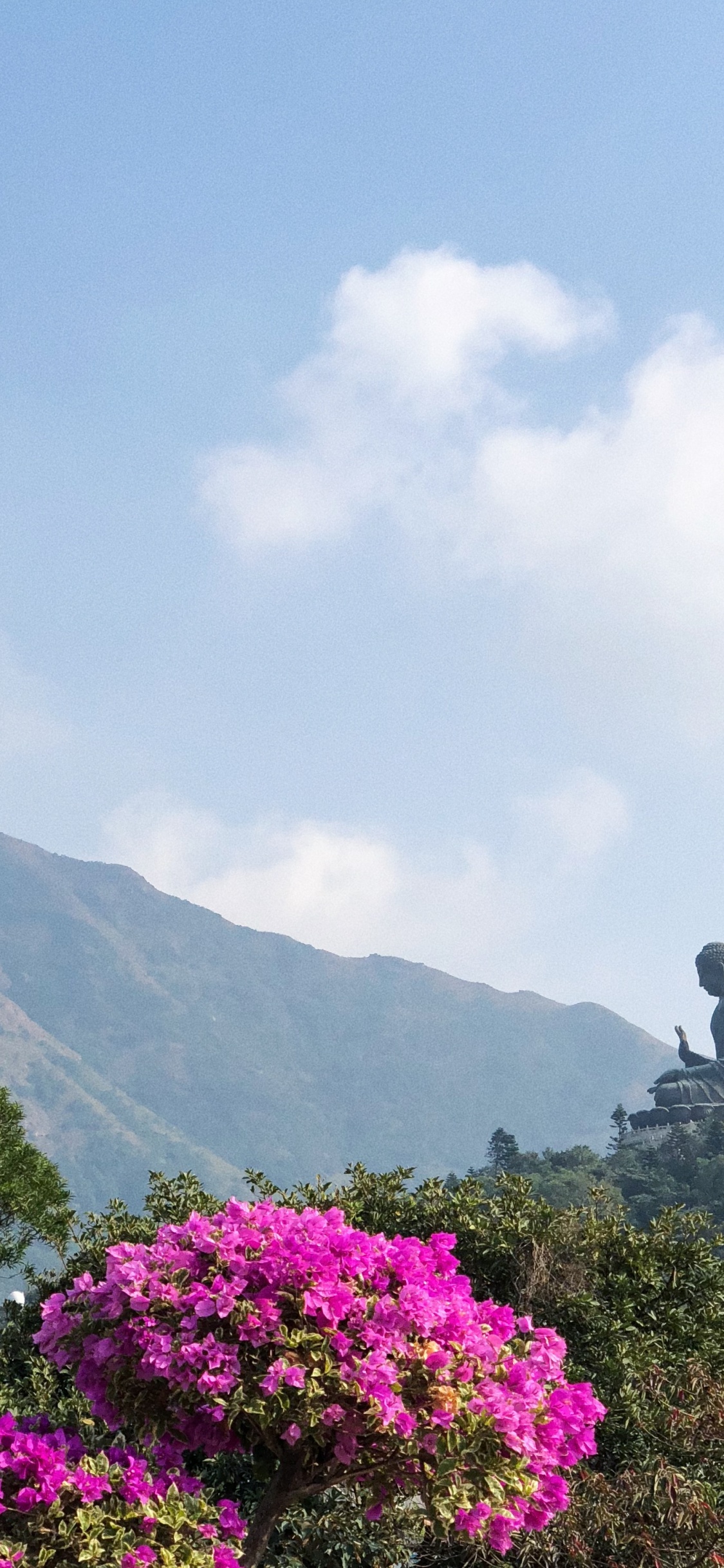 Обои растительность, горный рельеф, облако, цветок, растительное сообщество в разрешении 1125x2436