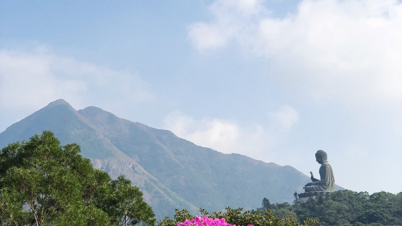 Обои растительность, горный рельеф, облако, цветок, растительное сообщество в разрешении 1280x720