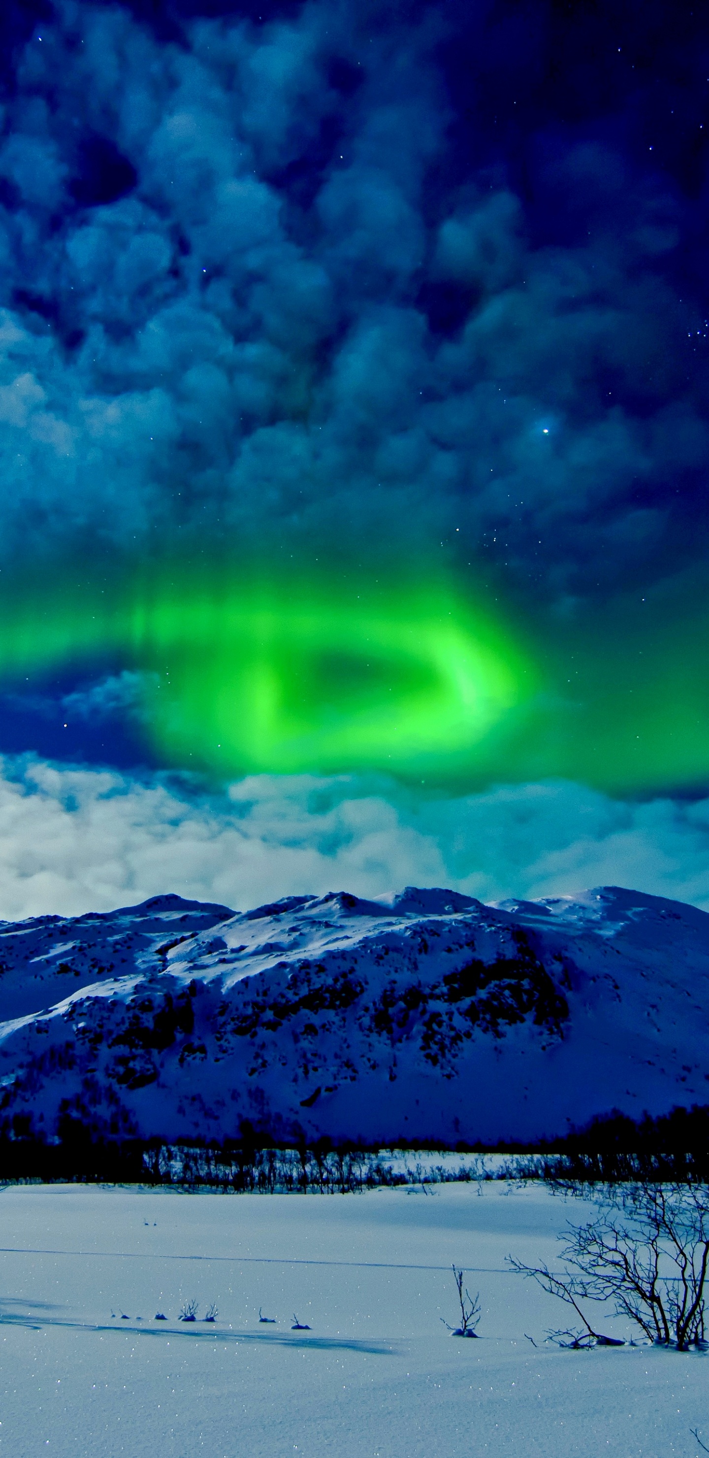 Обои Аврора, природа, зима, облако, свет в разрешении 1440x2960