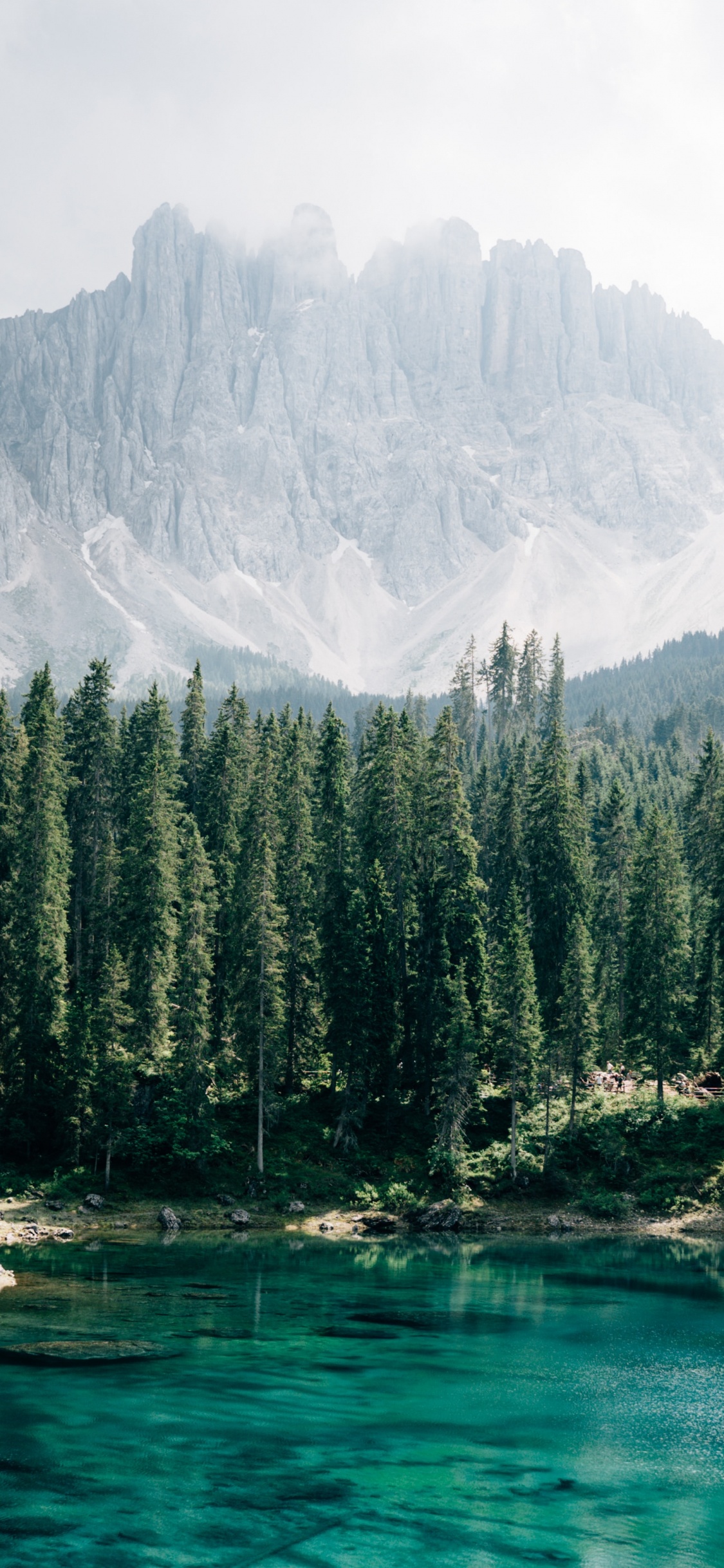 Обои Карерзее, Хвойные, пейзажи гор, ледниковое озеро, природа в разрешении 1125x2436