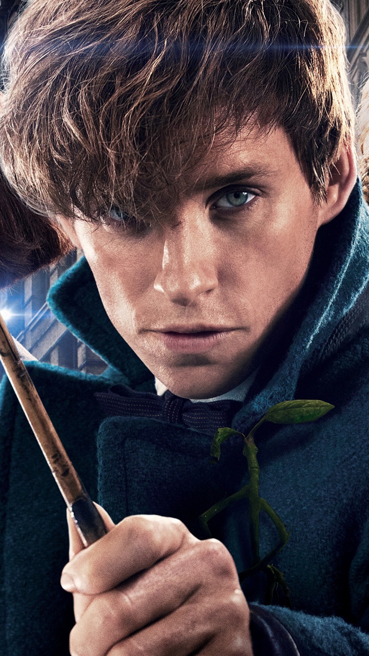 Обои Porpentina Гольдштейн, Геллерт Гриндельвальд, девушка, фильм, Кэтрин Уотерстон в разрешении 720x1280