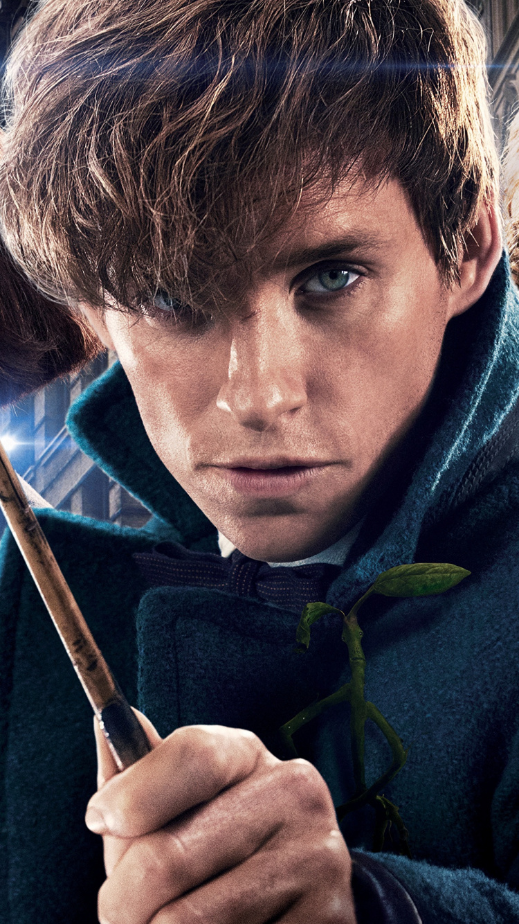 Обои Porpentina Гольдштейн, Геллерт Гриндельвальд, девушка, фильм, Кэтрин Уотерстон в разрешении 750x1334