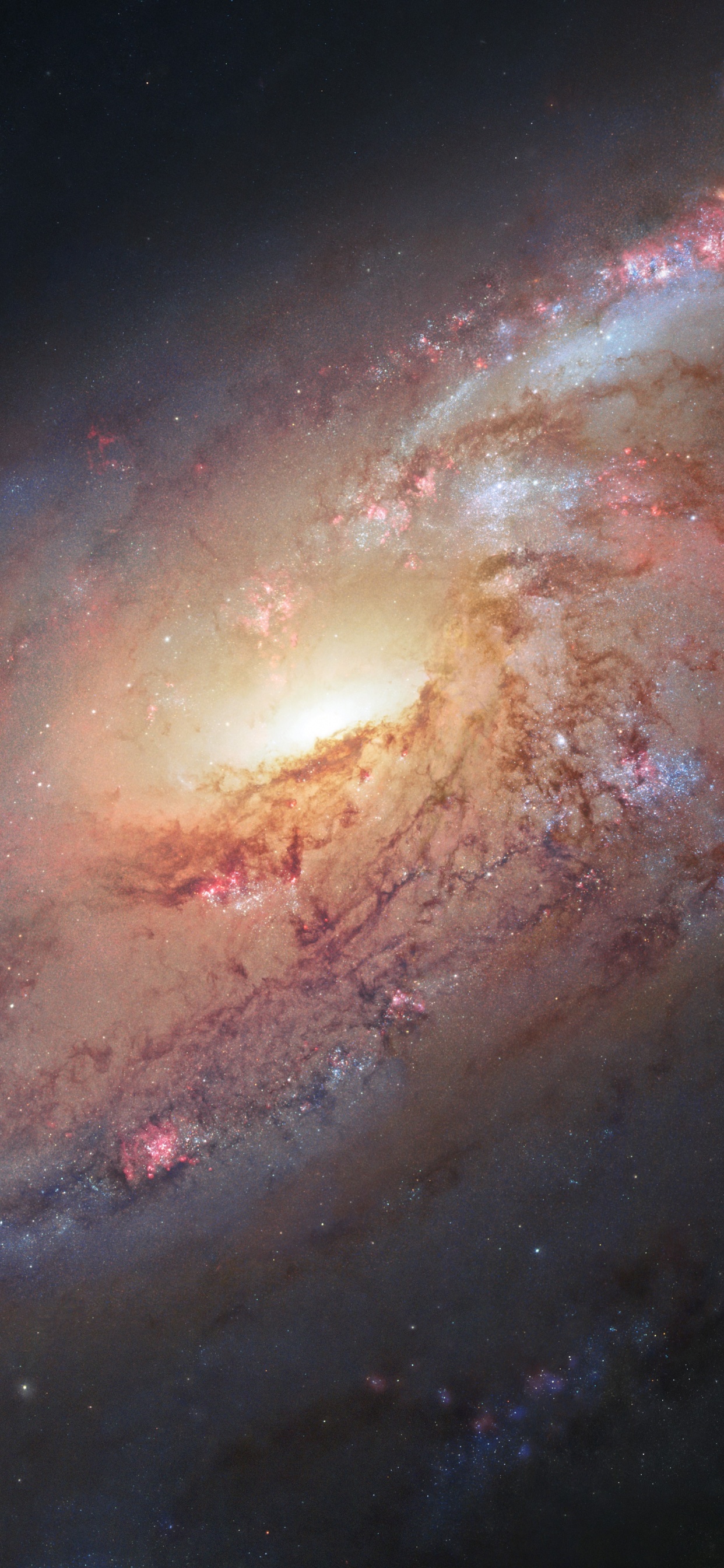 Обои Мессье 106, космический телескоп Хаббл, Галактика, спиральная Галактика, космическое пространство в разрешении 1242x2688