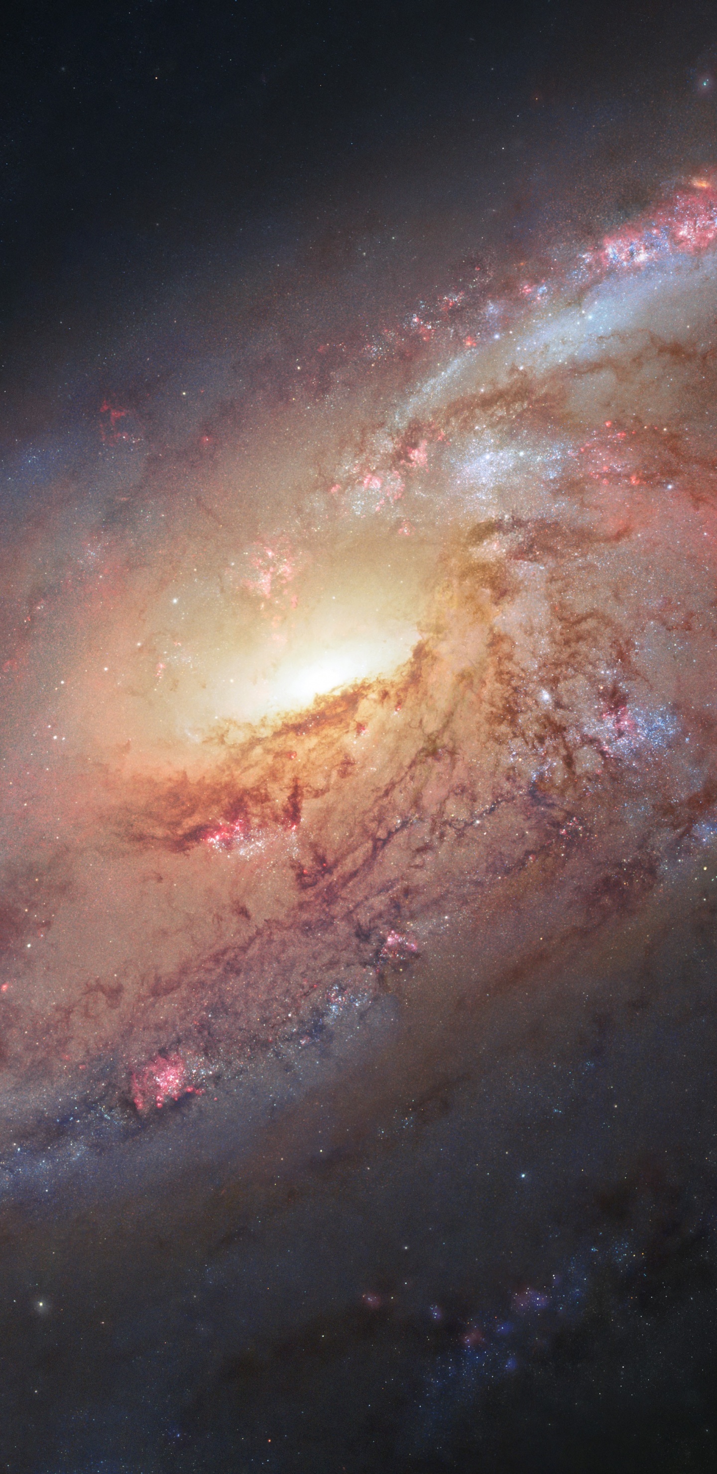 Обои Мессье 106, космический телескоп Хаббл, Галактика, спиральная Галактика, космическое пространство в разрешении 1440x2960