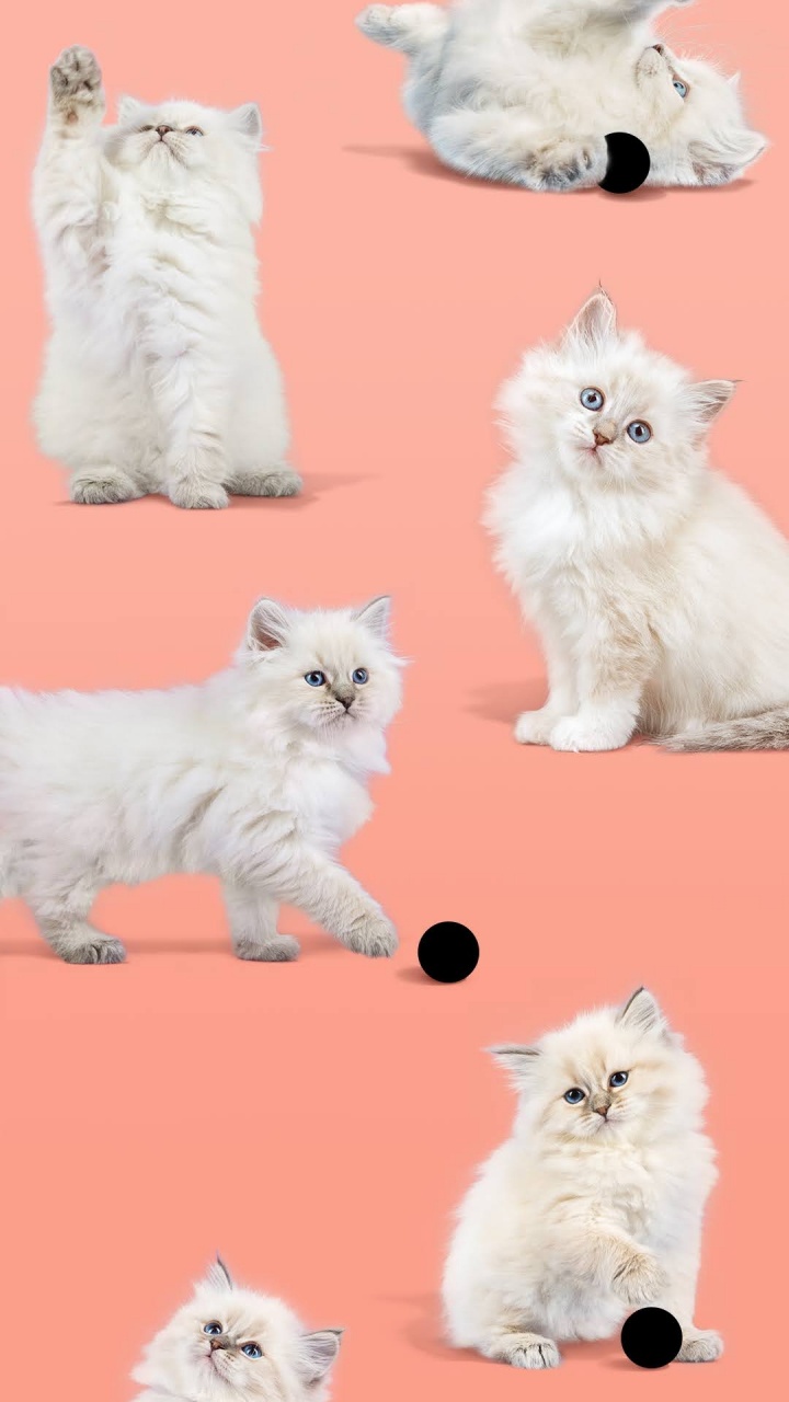 Обои Google, Google Pixel 4a, пиксель 4a, пиксель, андроид в разрешении 720x1280