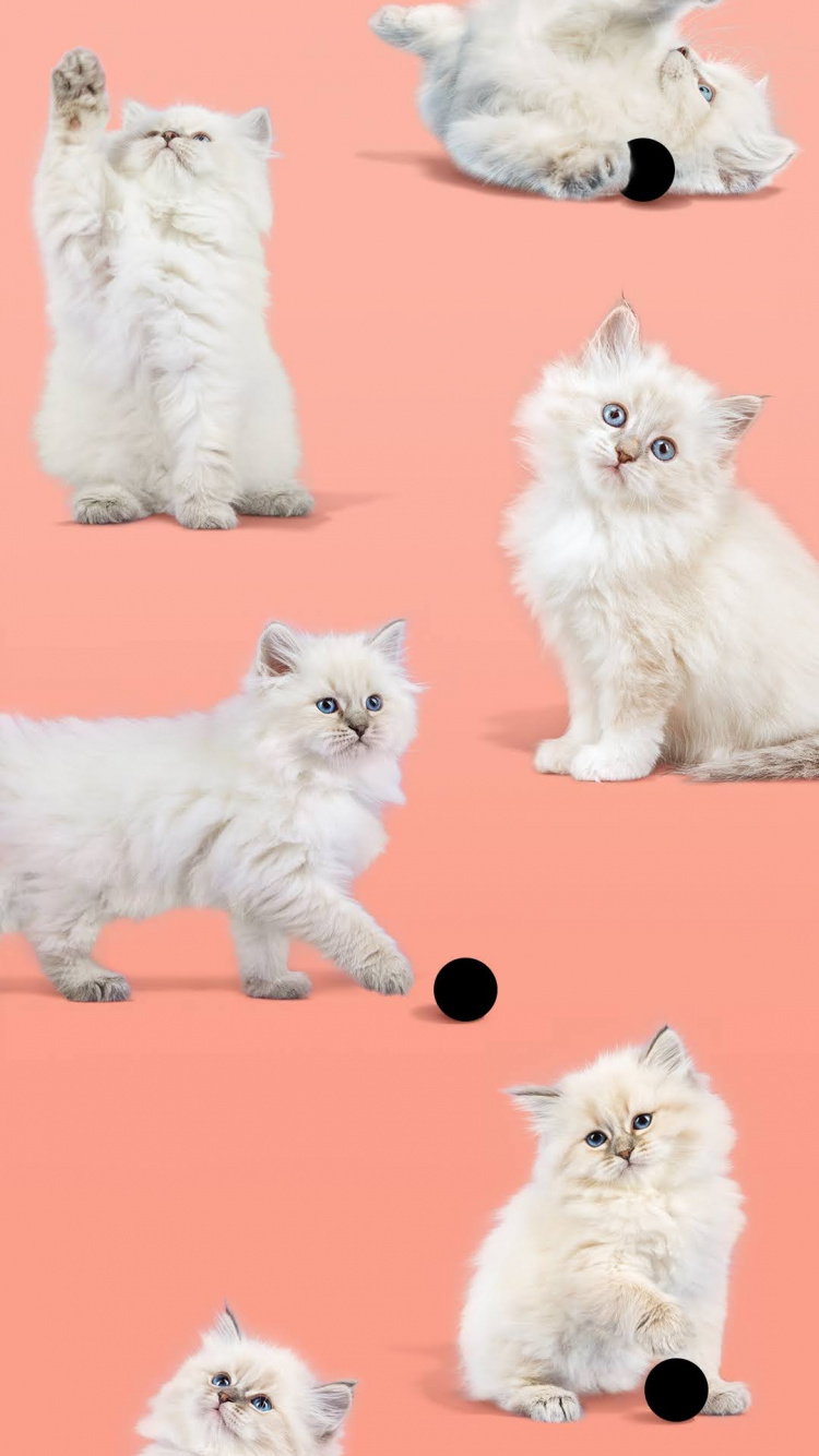 Обои Google, Google Pixel 4a, пиксель 4a, пиксель, андроид в разрешении 750x1334