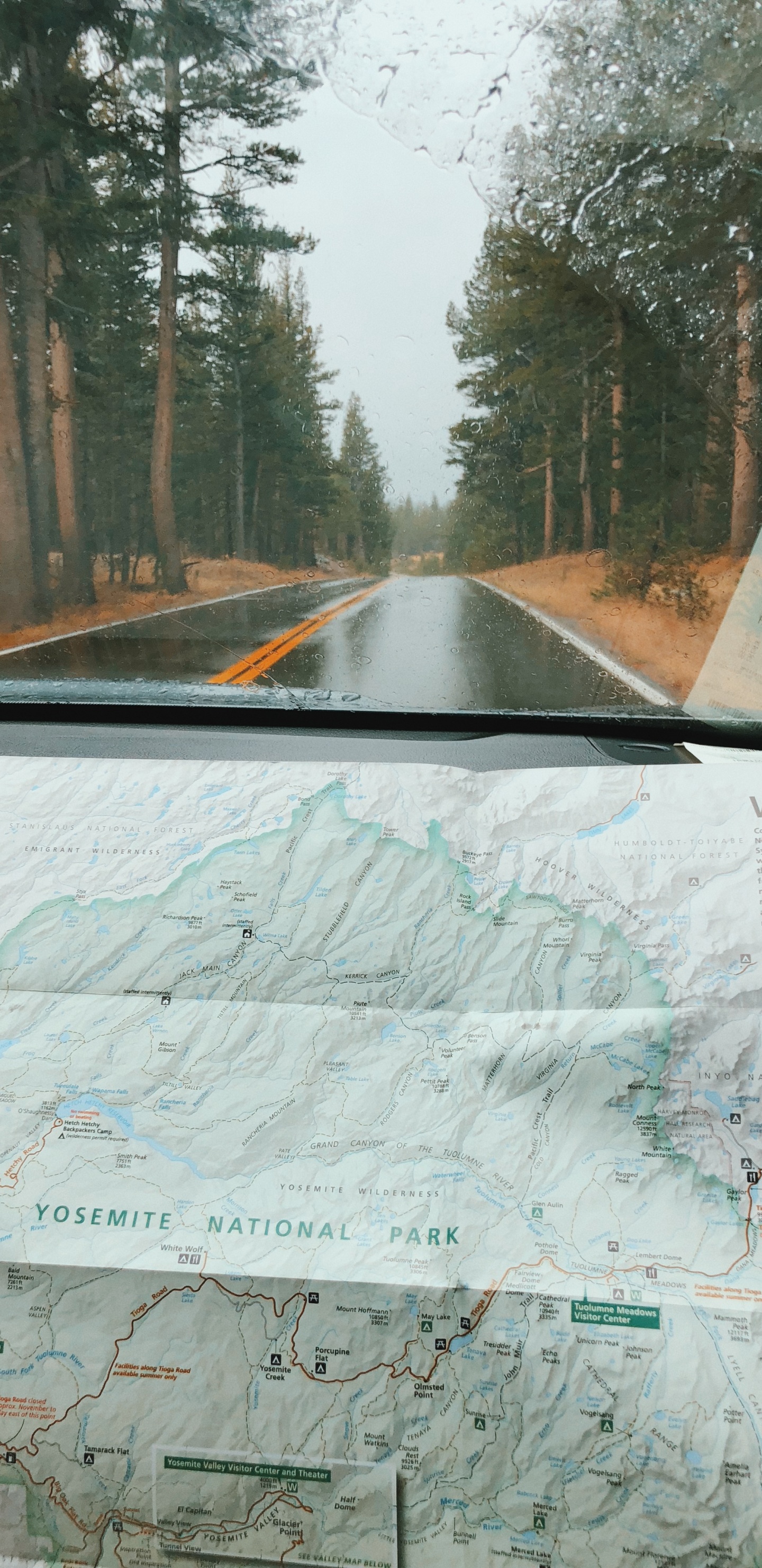 Обои Калифорния, США, йосемити, ветровое стекло, легковые автомобили в разрешении 1440x2960