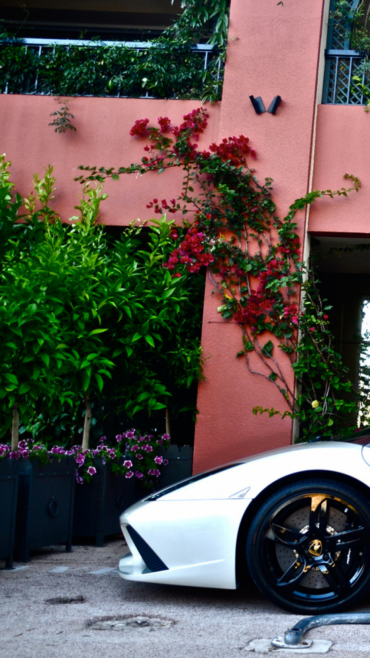 Обои Ламборджини, спорткар, суперкар, наземный транспорт, Ламборджини авентадор с в разрешении 750x1334