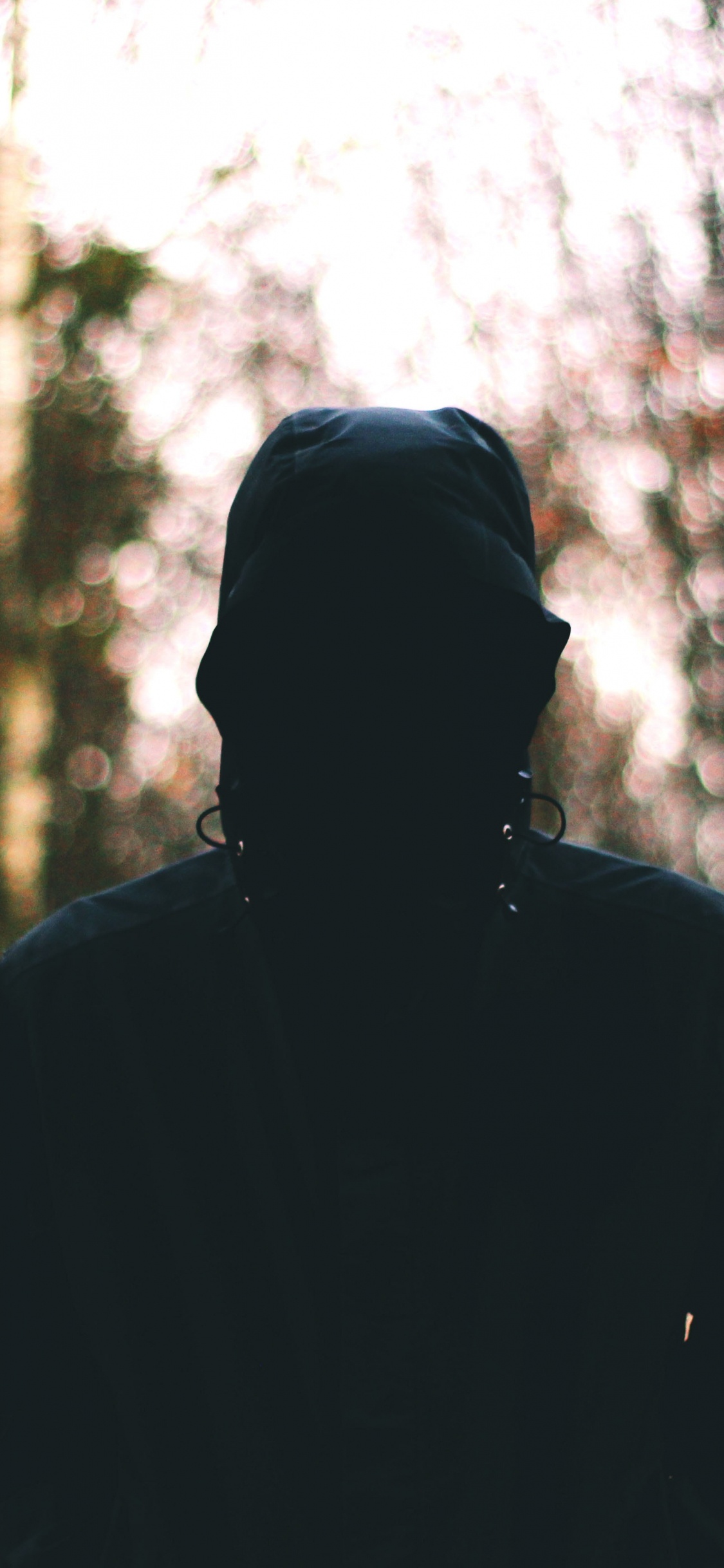 Обои лес, Люди в природе, дерево, лист, окружающая среда в разрешении 1125x2436