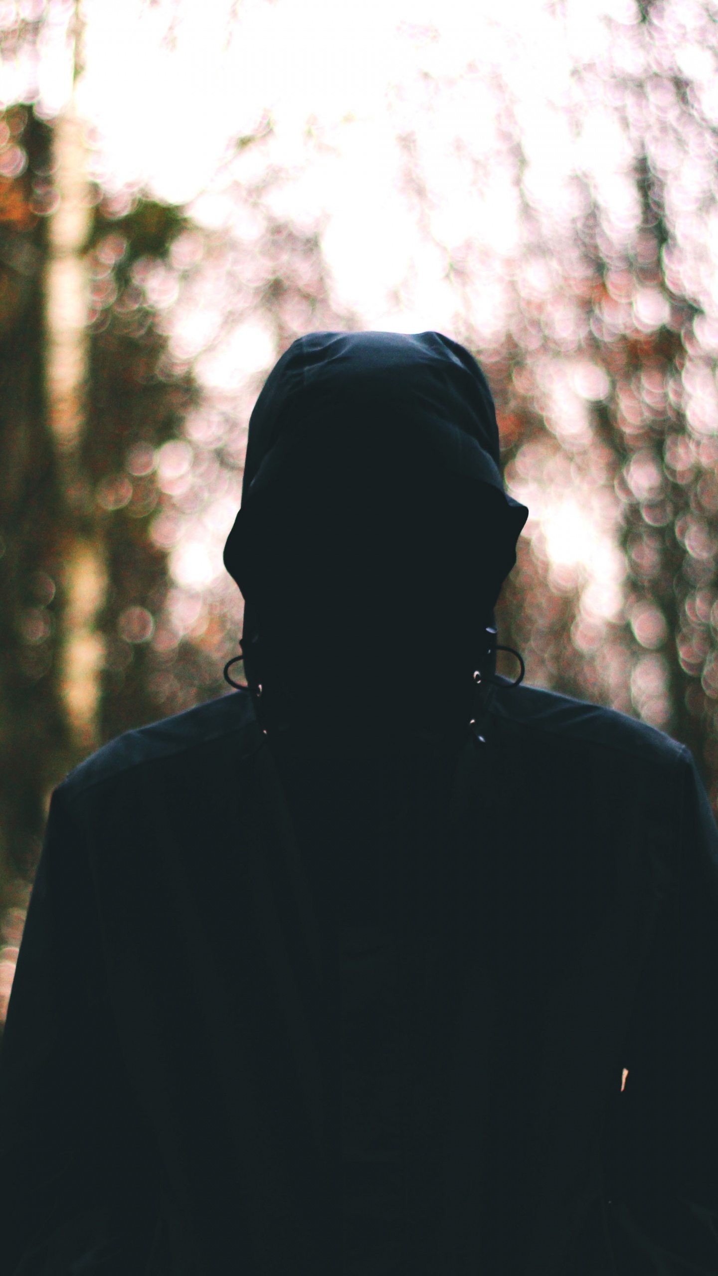 Обои лес, Люди в природе, дерево, лист, окружающая среда в разрешении 1440x2560