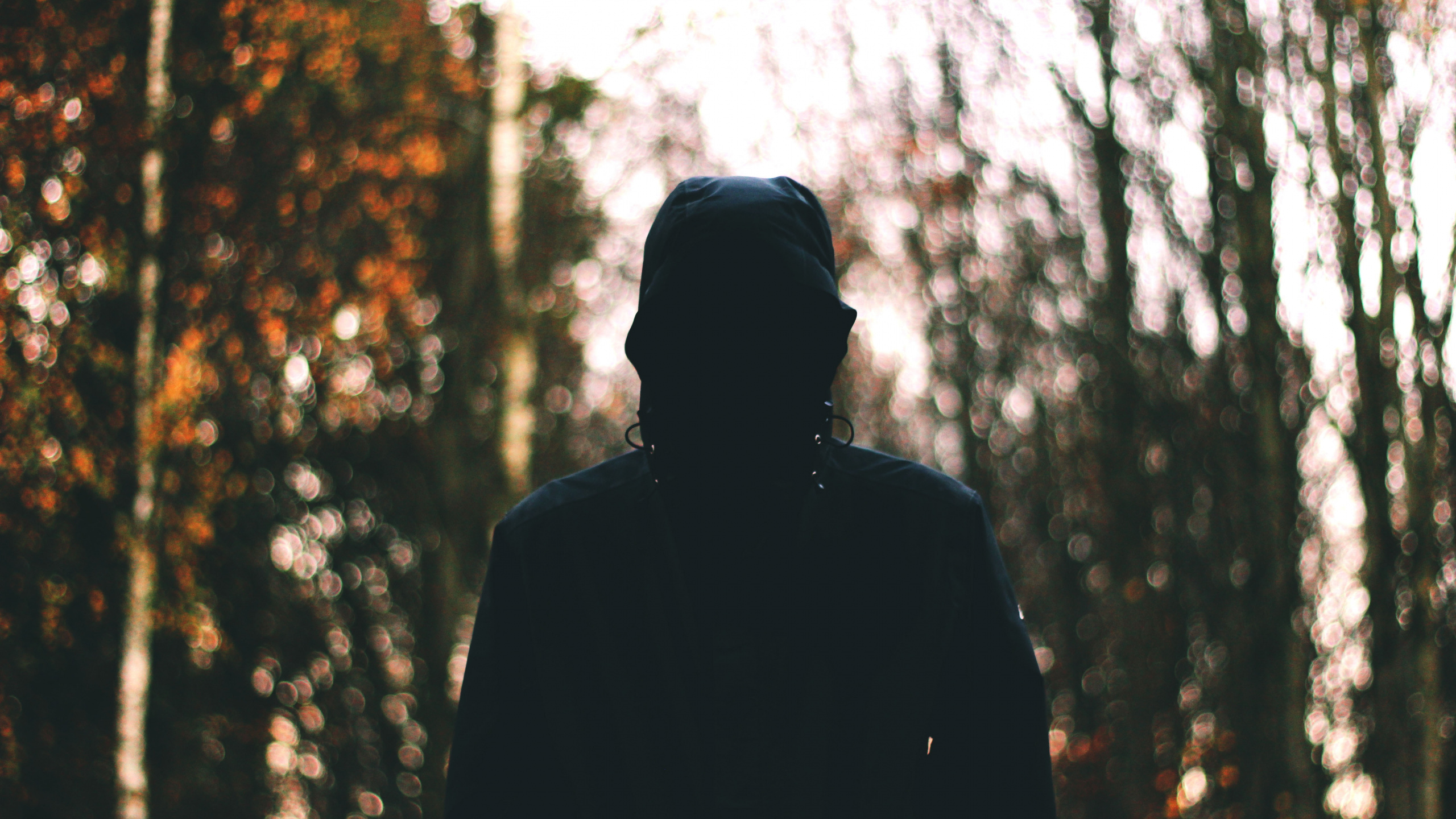 Обои лес, Люди в природе, дерево, лист, окружающая среда в разрешении 2560x1440