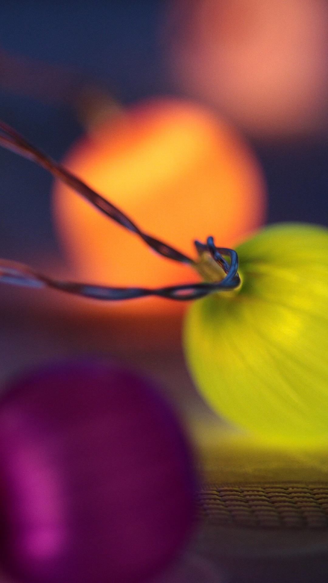 Обои натюрморт, фрукты, овощ, тыквенных, крупный план в разрешении 1080x1920