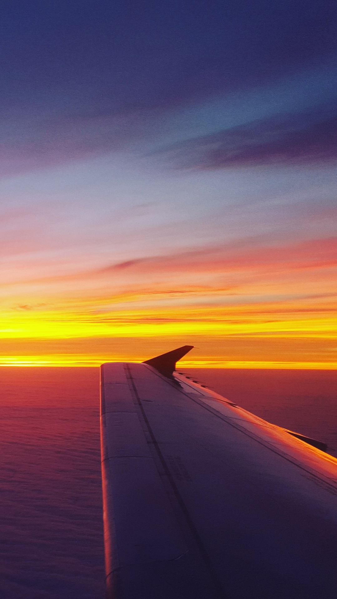 Обои самолет, полет, самолеты, авиация, закат в разрешении 1080x1920