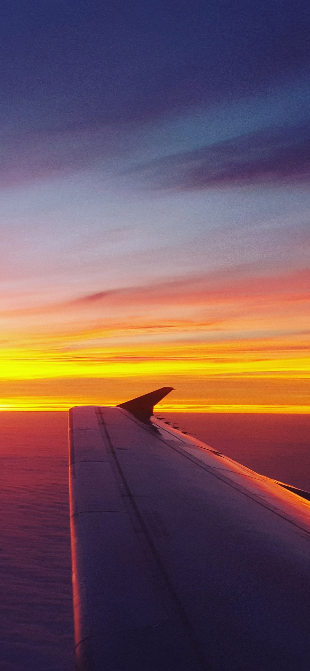 Обои самолет, полет, самолеты, авиация, закат в разрешении 1242x2688