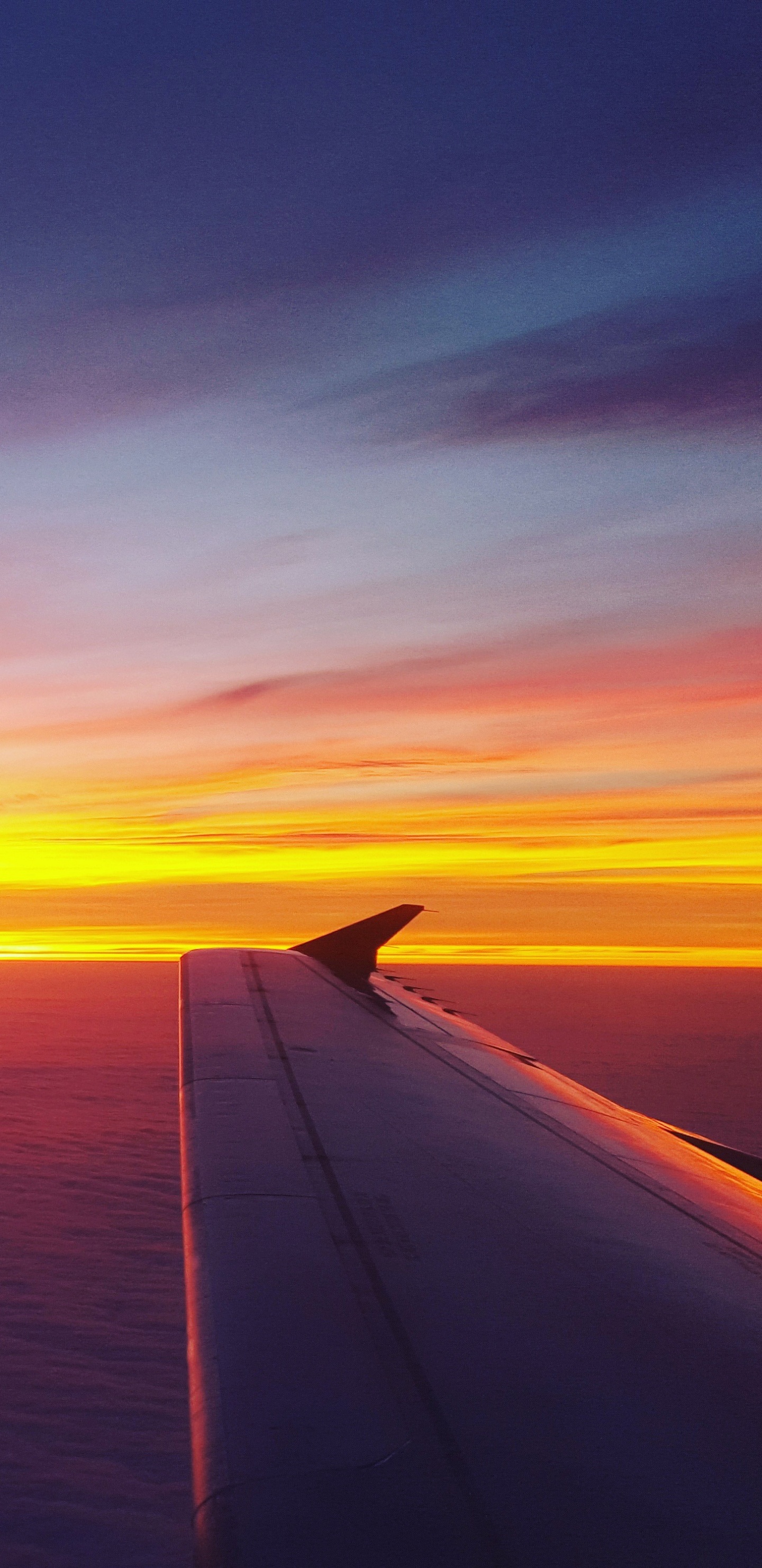 Обои самолет, полет, самолеты, авиация, закат в разрешении 1440x2960