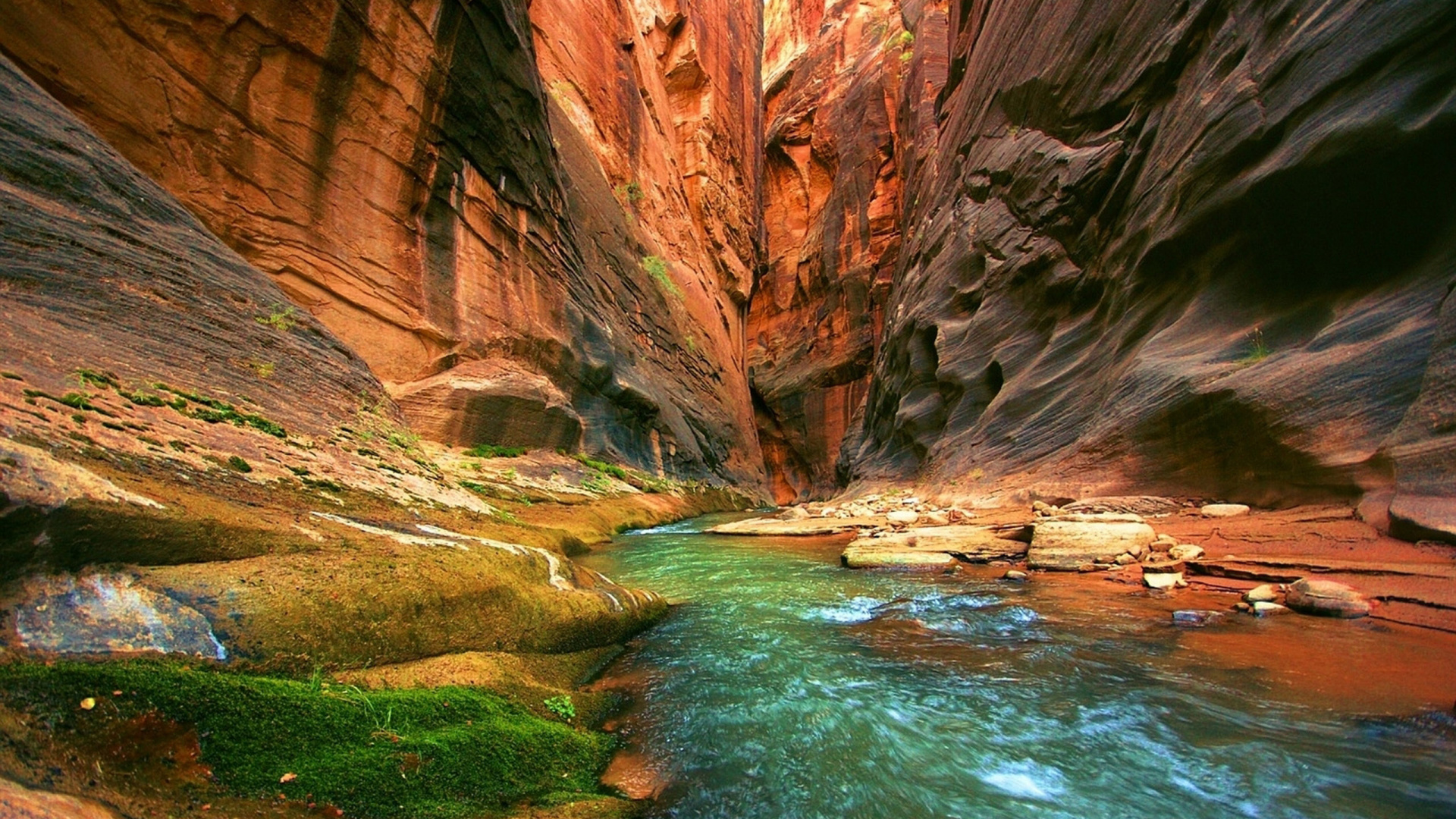 Обои большой каньон, национальный парк, каньон, теснина, вода в разрешении 1920x1080