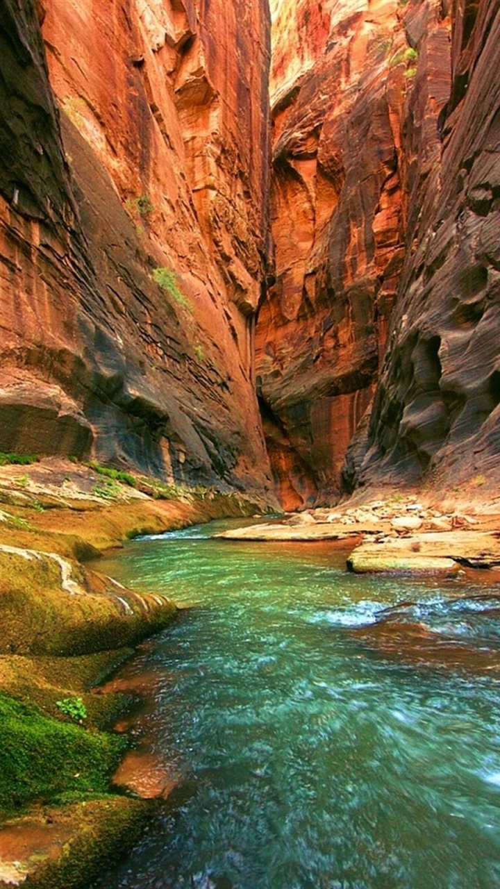 Обои большой каньон, национальный парк, каньон, теснина, вода в разрешении 720x1280