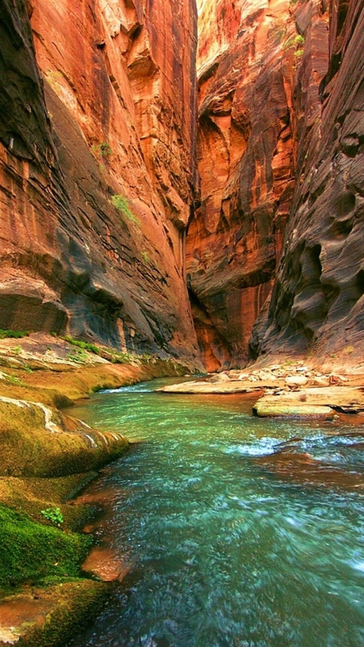 Обои большой каньон, национальный парк, каньон, теснина, вода в разрешении 750x1334