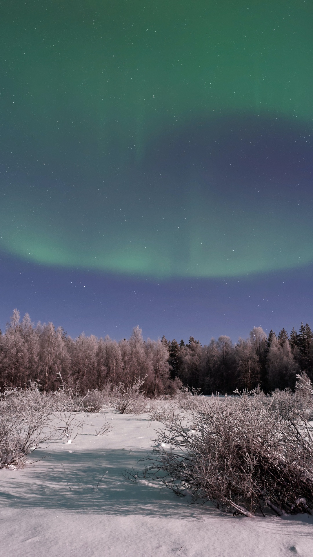 Обои Аврора, земля, атмосфера, экорегион, природный ландшафт в разрешении 1080x1920