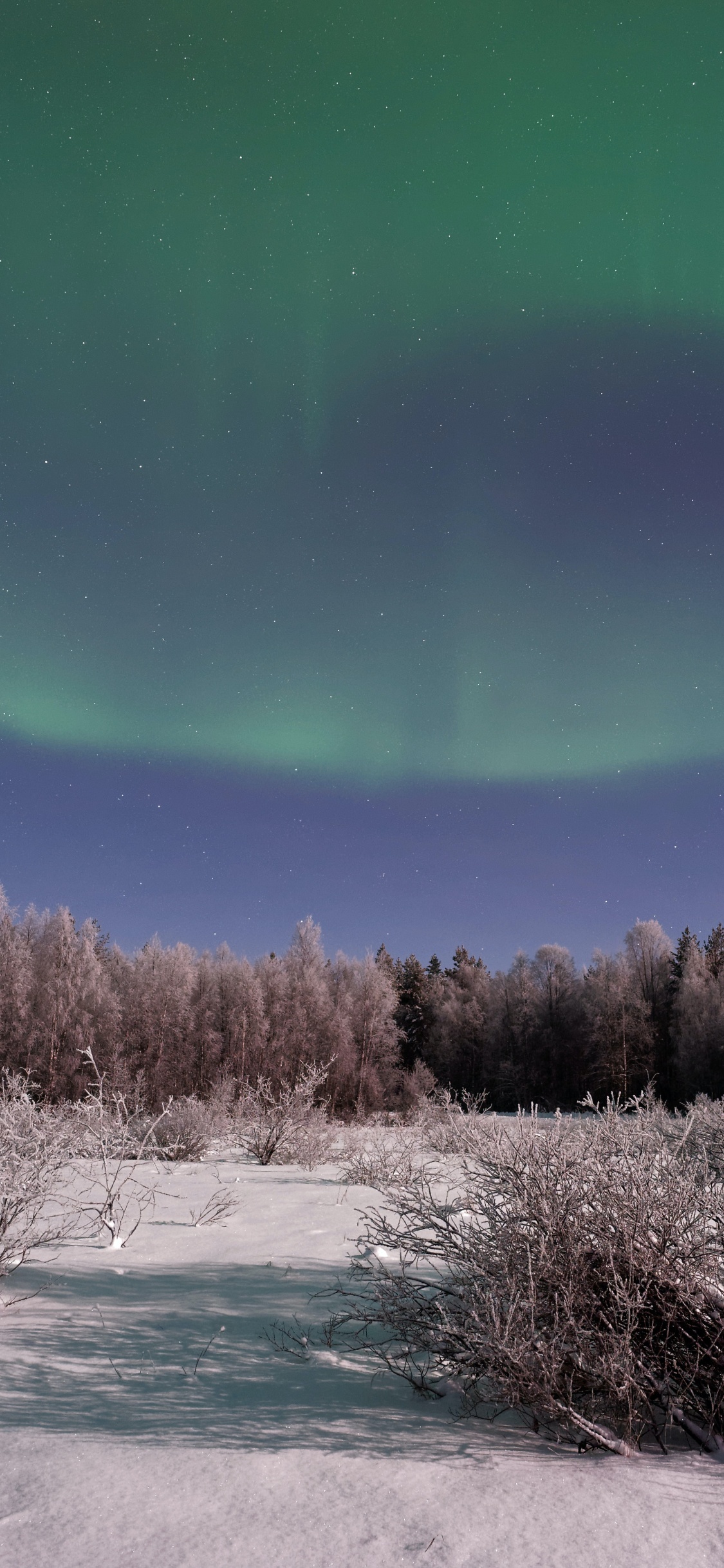 Обои Аврора, земля, атмосфера, экорегион, природный ландшафт в разрешении 1125x2436