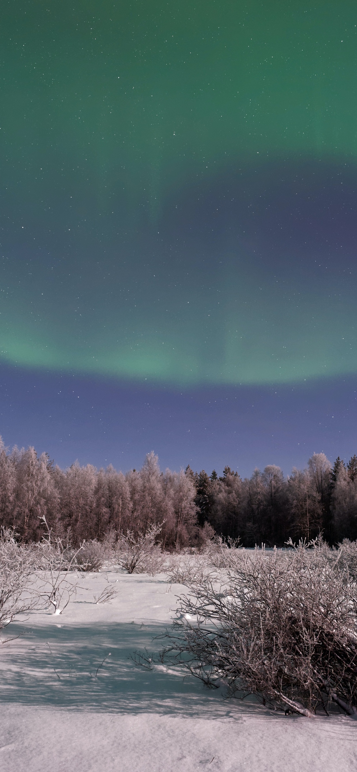 Обои Аврора, земля, атмосфера, экорегион, природный ландшафт в разрешении 1242x2688