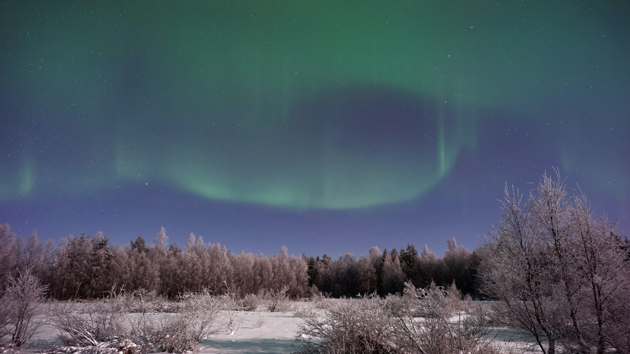 Обои Аврора, земля, атмосфера, экорегион, природный ландшафт в разрешении 1280x720