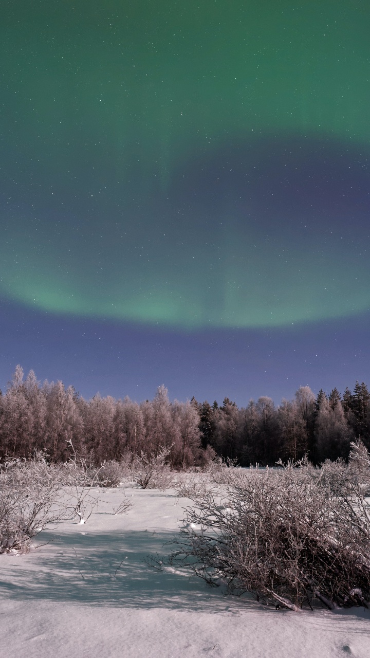 Обои Аврора, земля, атмосфера, экорегион, природный ландшафт в разрешении 720x1280