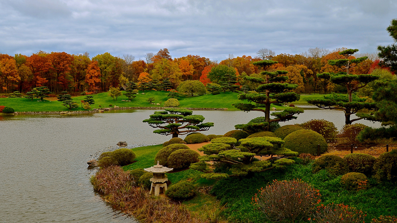 Обои японский сад, сад, природа, дерево, лист в разрешении 1280x720