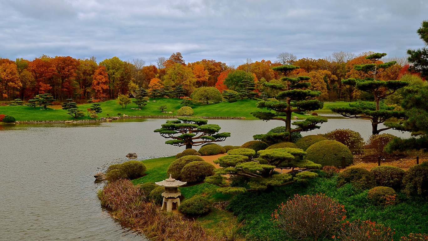 Обои японский сад, сад, природа, дерево, лист в разрешении 1366x768