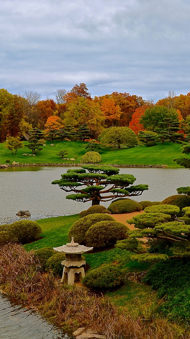 Обои японский сад, сад, природа, дерево, лист в разрешении 720x1280