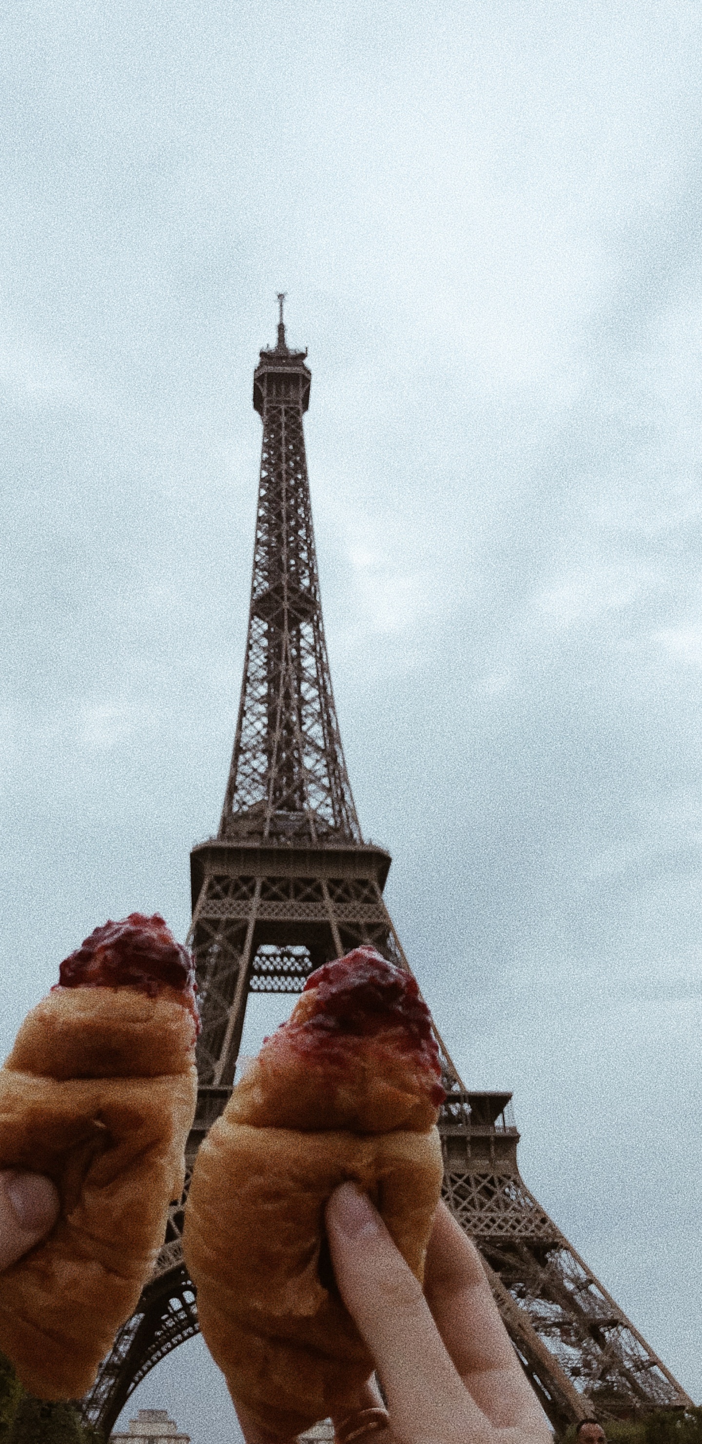 Обои Париж, Эйфелева башня, круассан, Пизанская башня, Марсово поле в разрешении 1440x2960