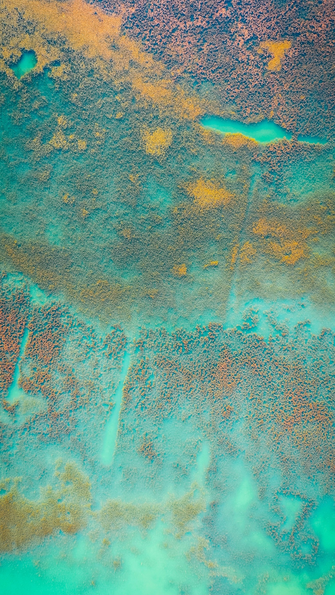 Обои вода, живопись, зеленый, лазурный, Аква в разрешении 1080x1920