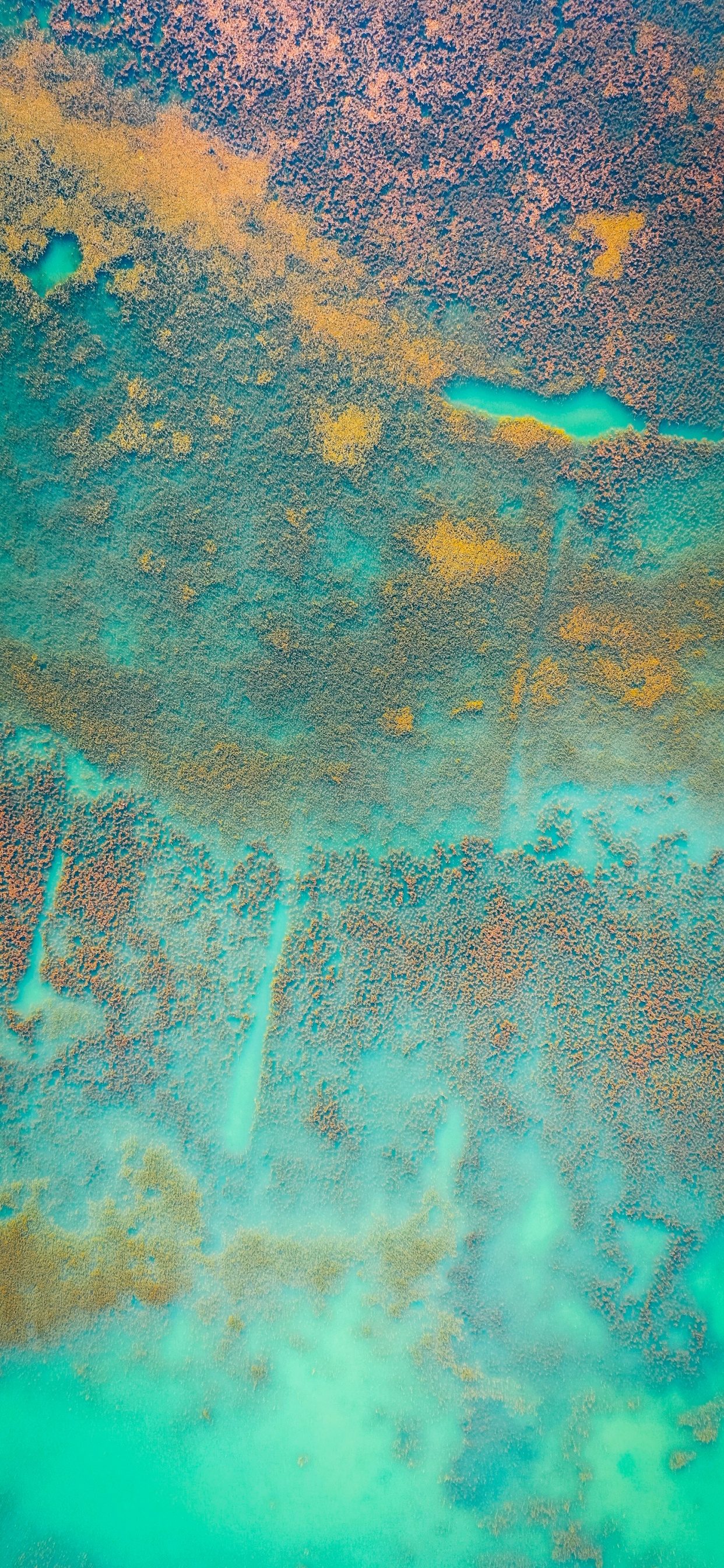 Обои вода, живопись, зеленый, лазурный, Аква в разрешении 1242x2688