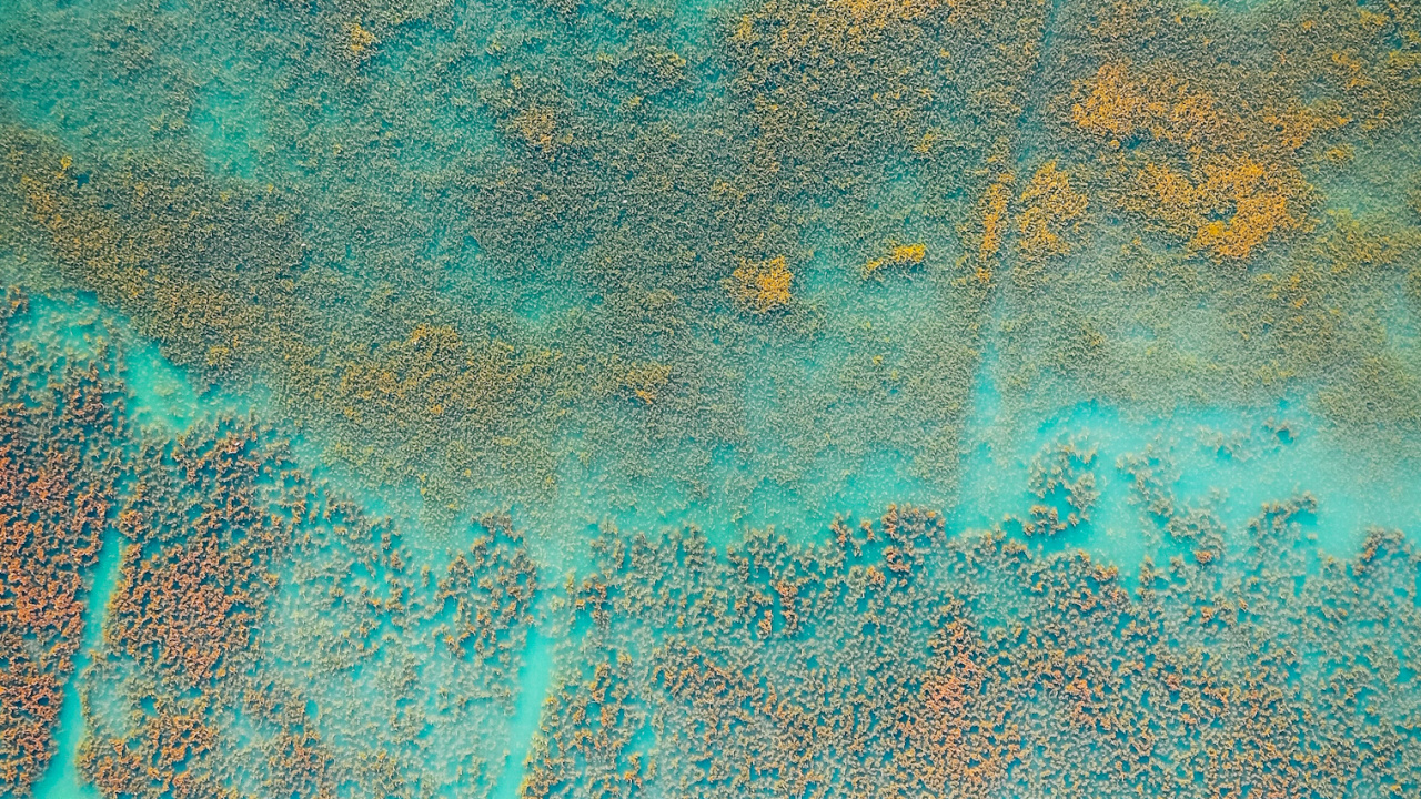 Обои вода, живопись, зеленый, лазурный, Аква в разрешении 1280x720