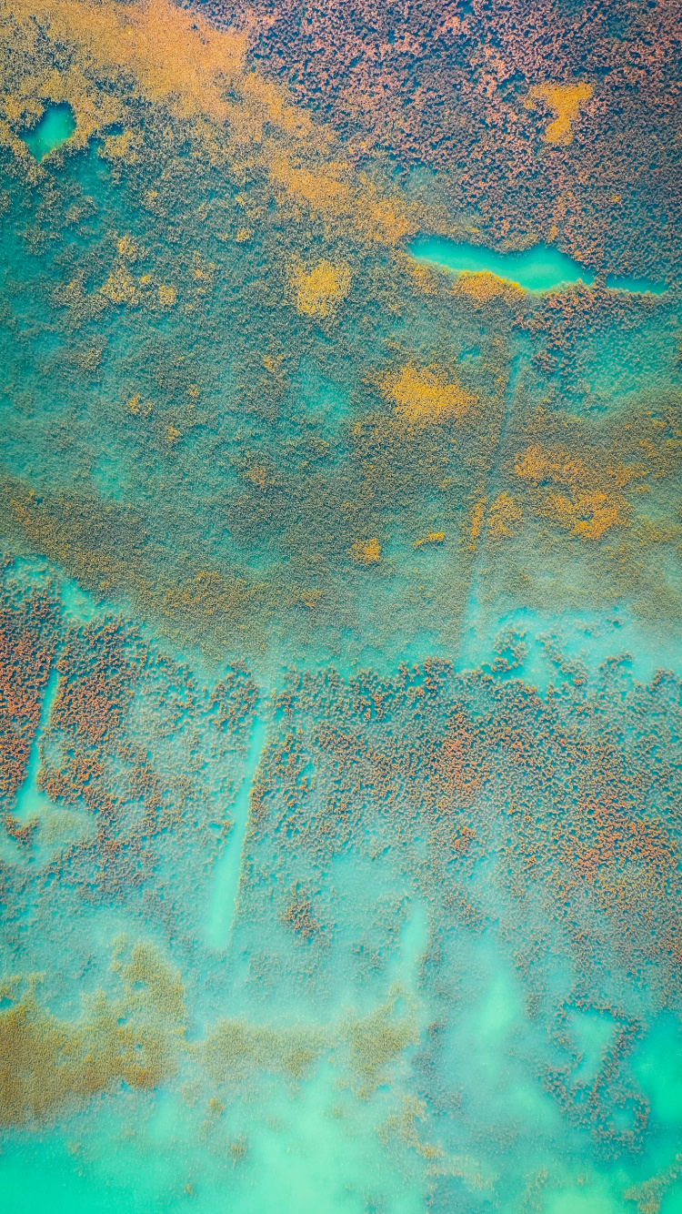 Обои вода, живопись, зеленый, лазурный, Аква в разрешении 750x1334