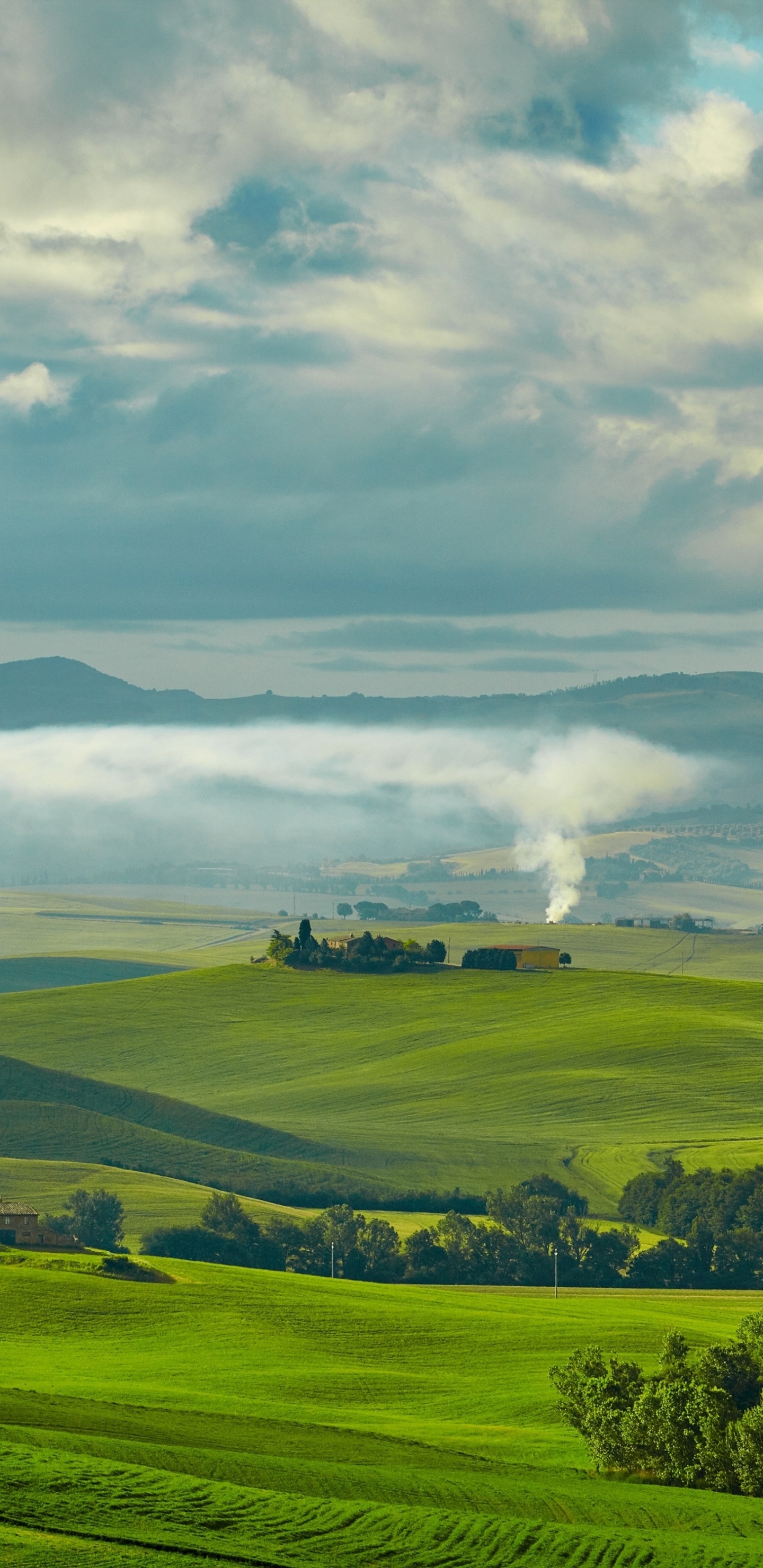 Обои зеленый, сенокосное угодье, природа, нагорье, поле в разрешении 1440x2960