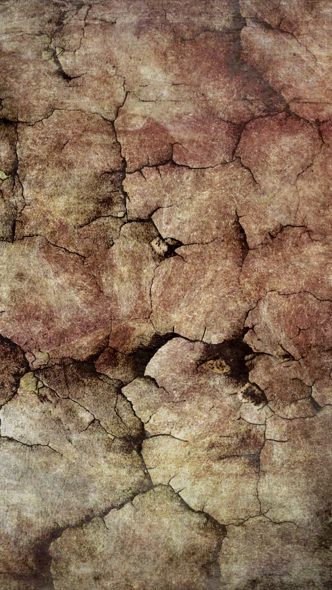 Обои древесина, дерево, почва, фильм, формирование в разрешении 1080x1920