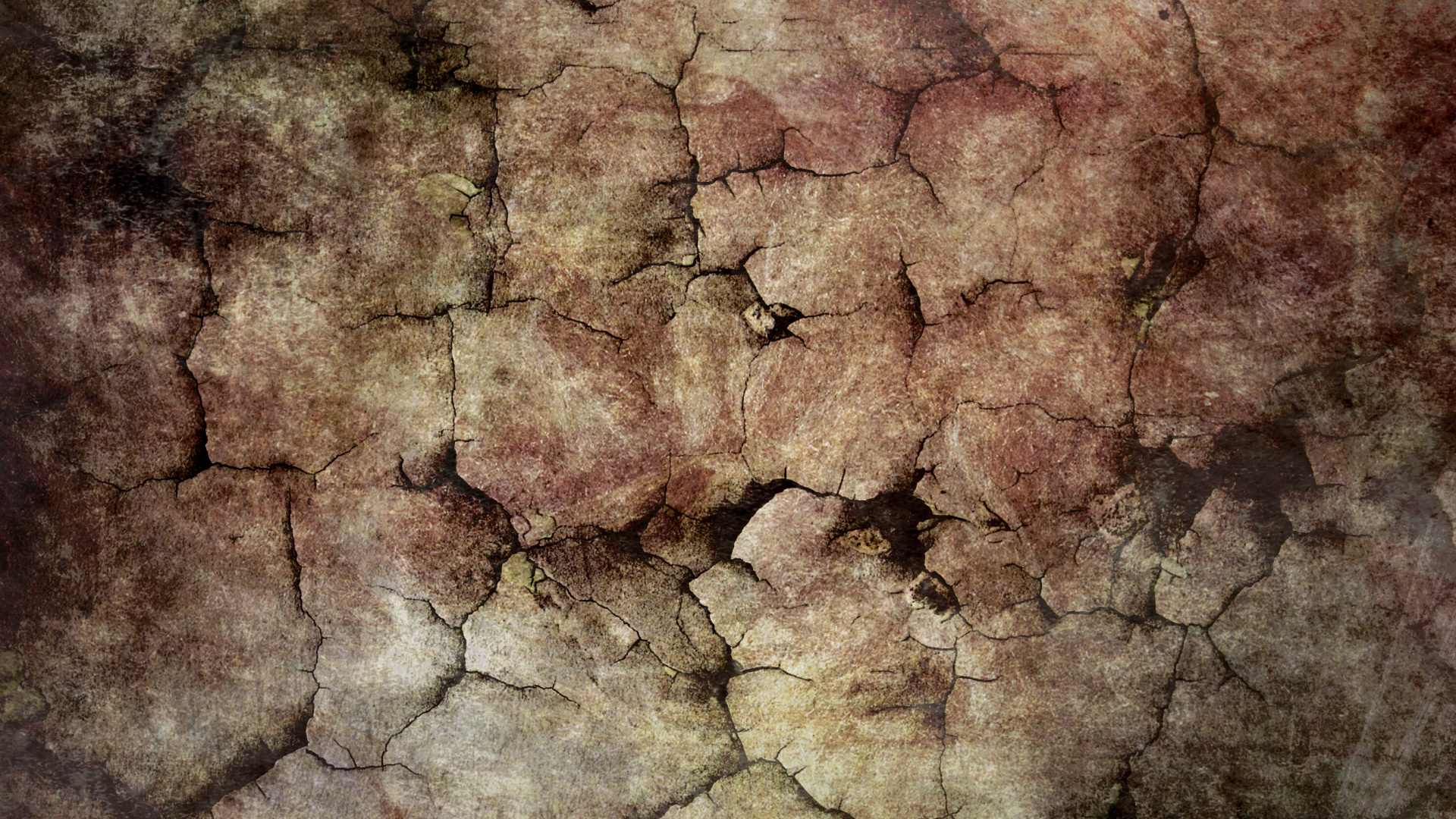 Обои древесина, дерево, почва, фильм, формирование в разрешении 1920x1080