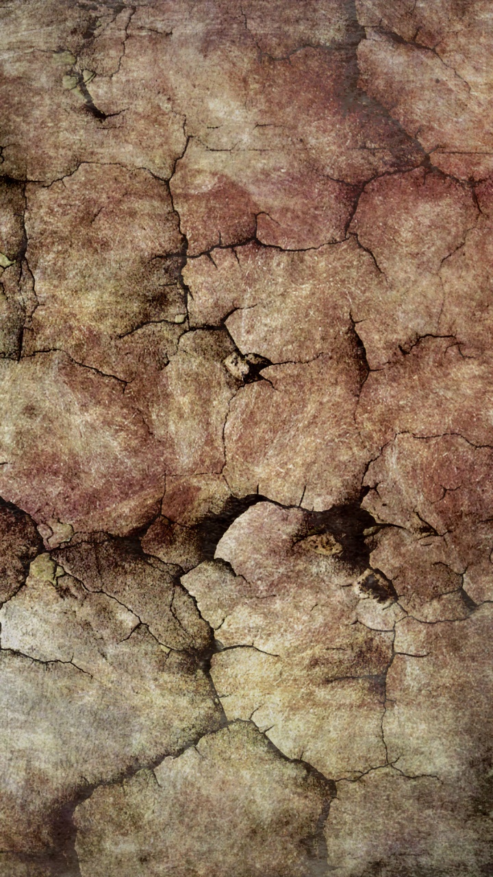 Обои древесина, дерево, почва, фильм, формирование в разрешении 720x1280