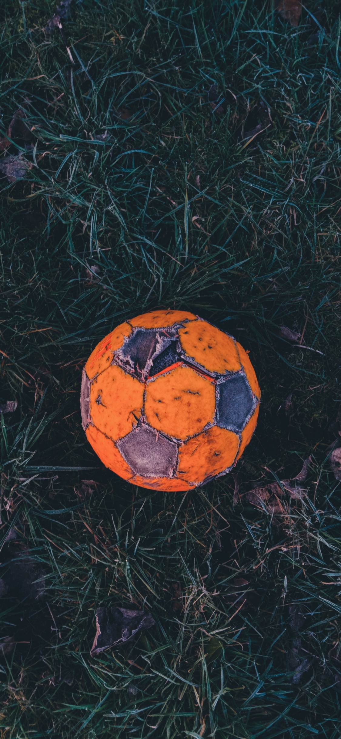 Обои мяч, футбол, американский футбол, Футбольный игрок, Апельсин в разрешении 1125x2436