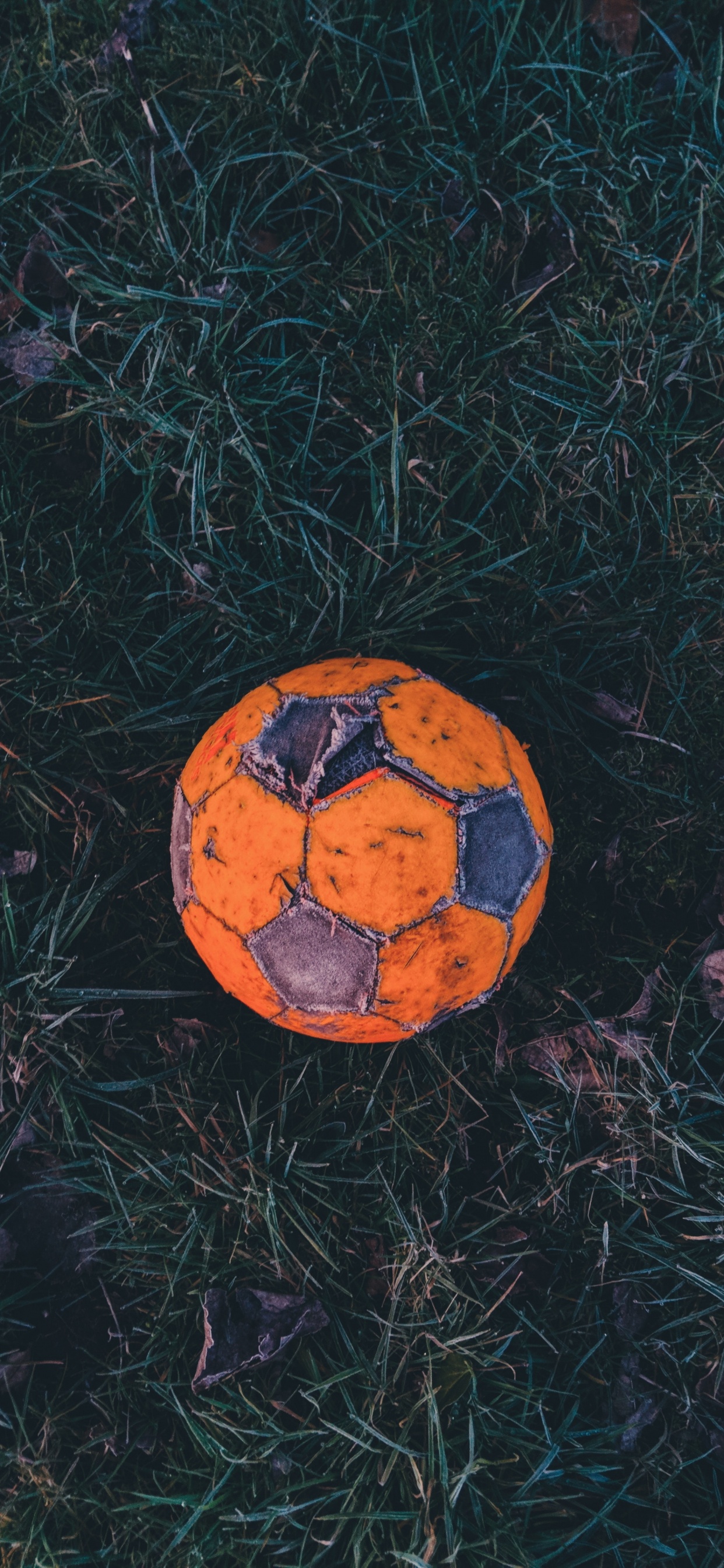 Обои мяч, футбол, американский футбол, Футбольный игрок, Апельсин в разрешении 1242x2688
