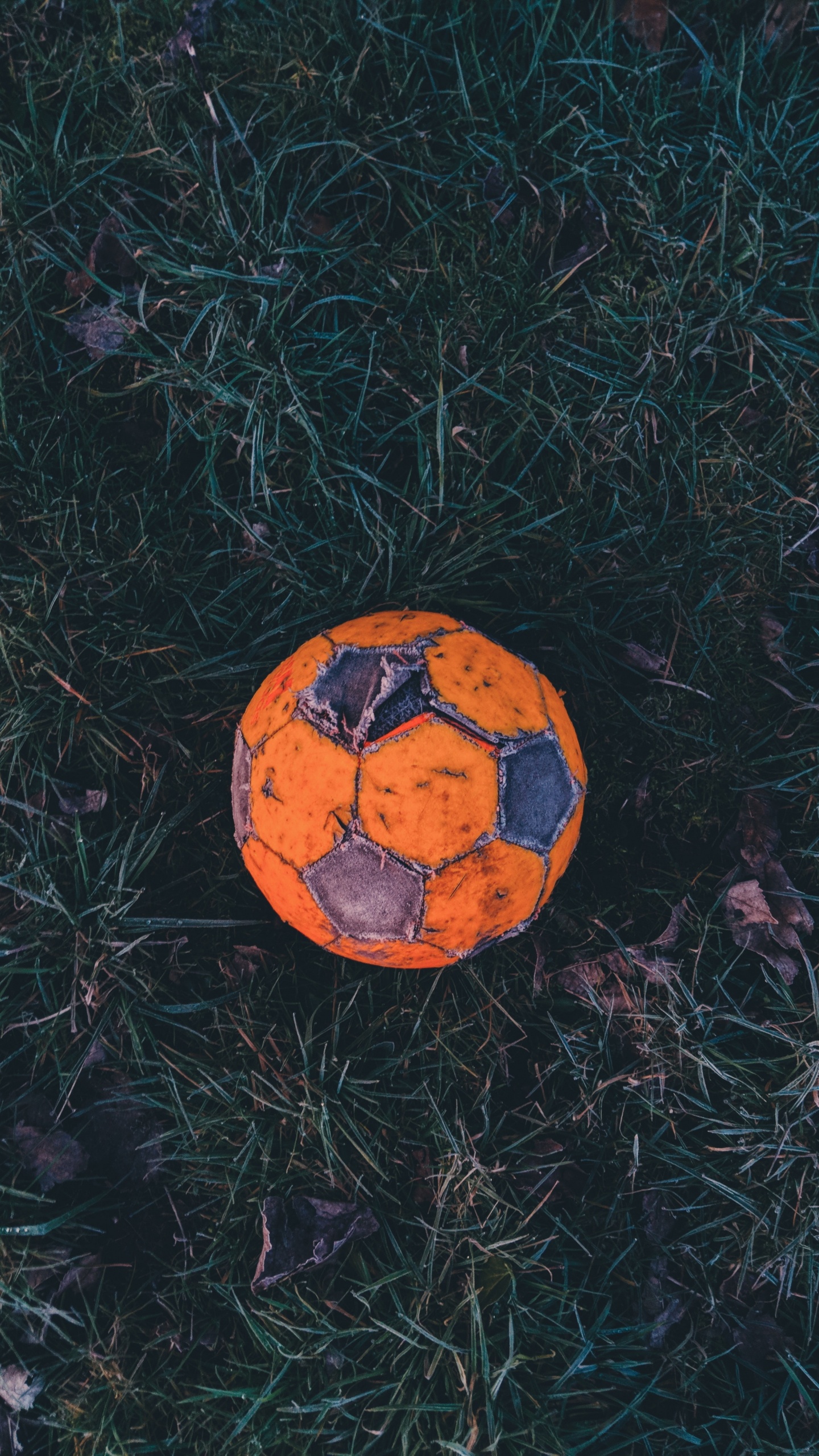 Обои мяч, футбол, американский футбол, Футбольный игрок, Апельсин в разрешении 1440x2560