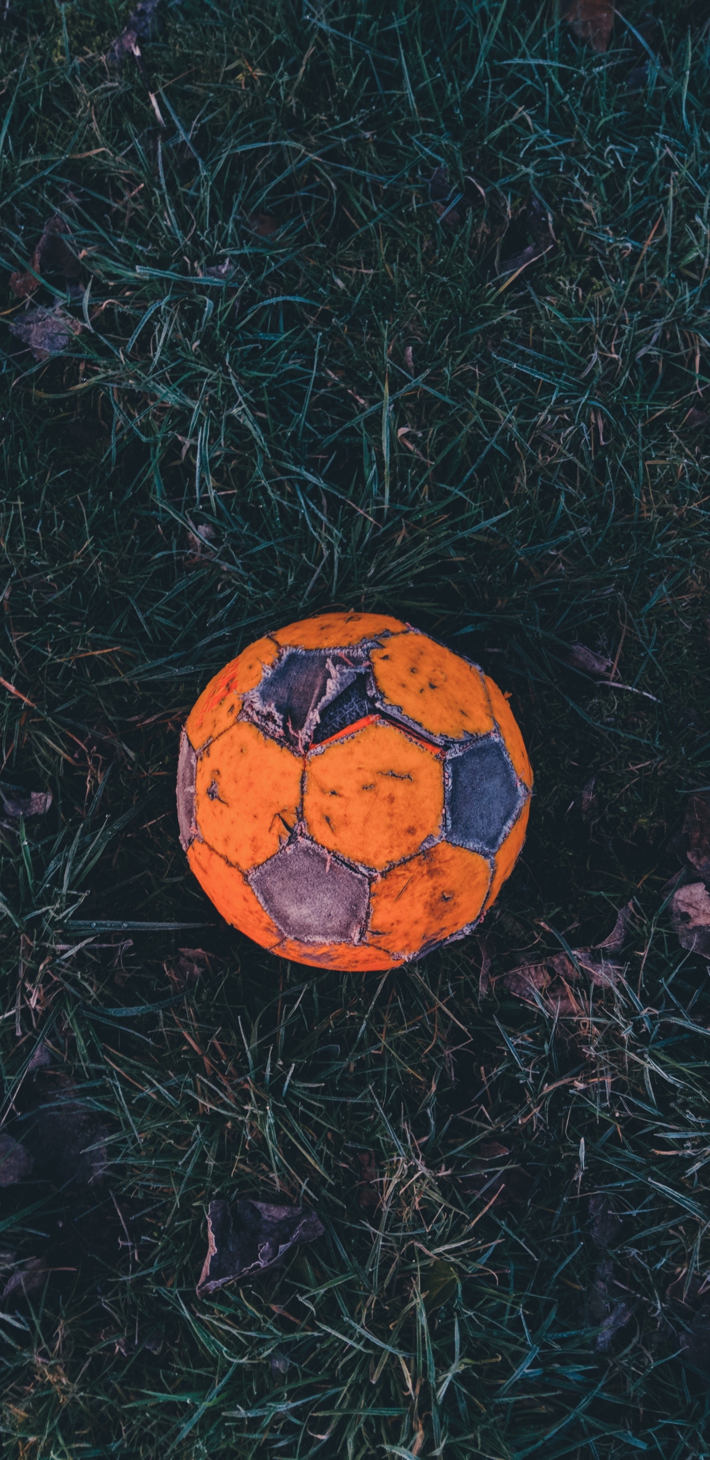 Обои мяч, футбол, американский футбол, Футбольный игрок, Апельсин в разрешении 1440x2960