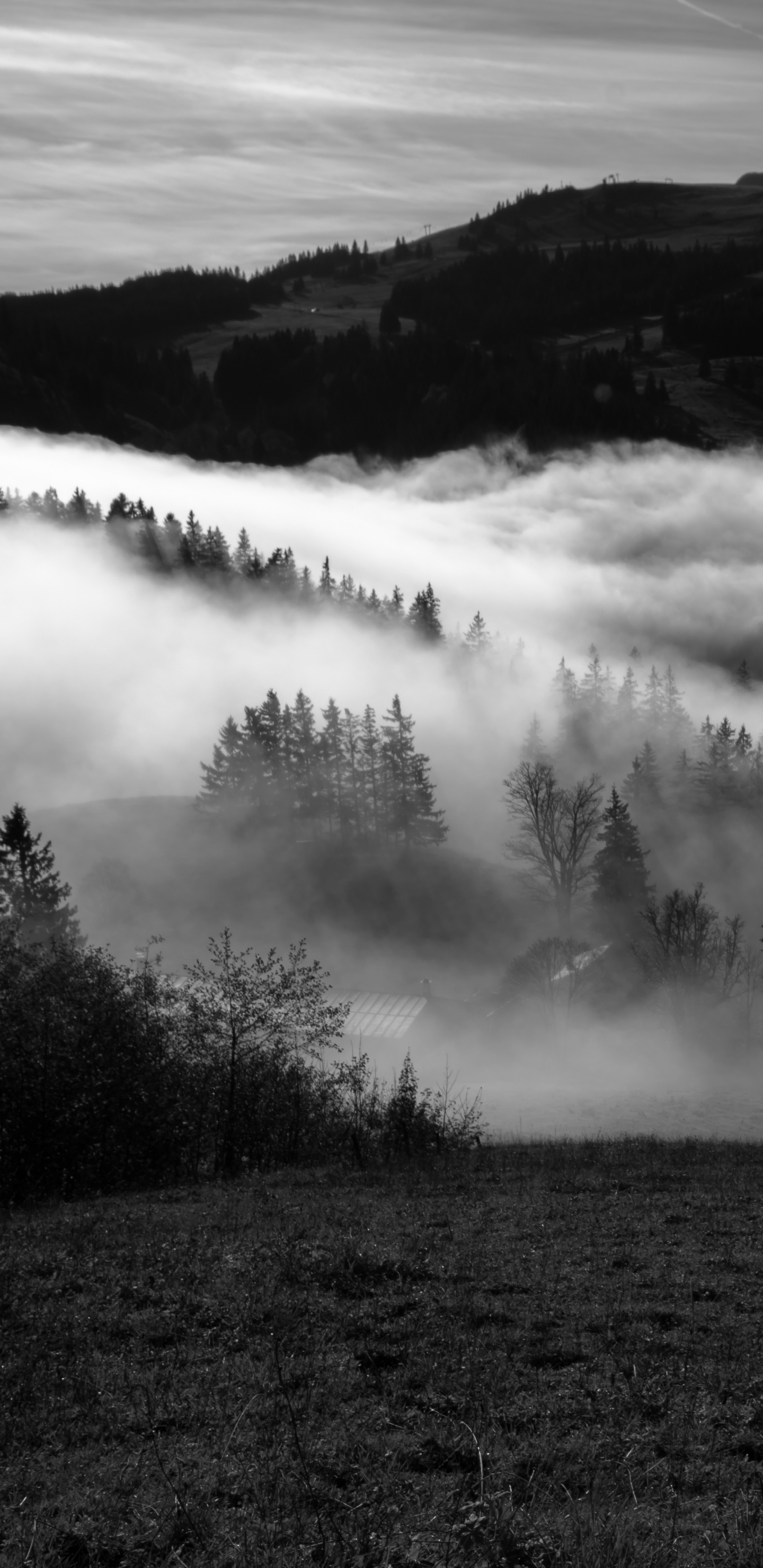 Обои сауин, гора, природа, белые, туман в разрешении 1440x2960