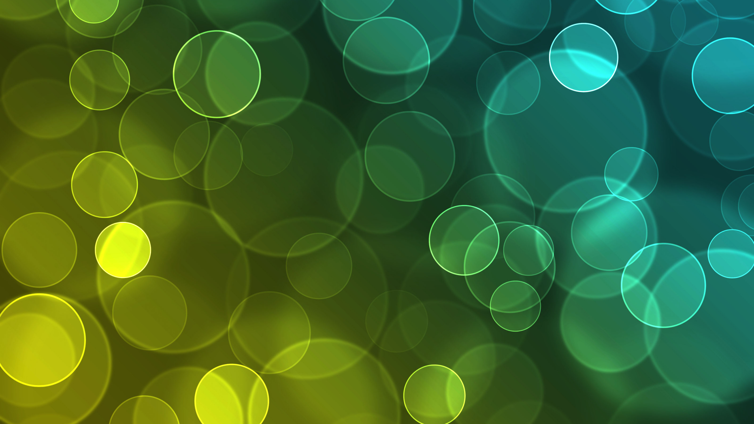 Обои зеленый, свет, круг, узор, линия в разрешении 2560x1440